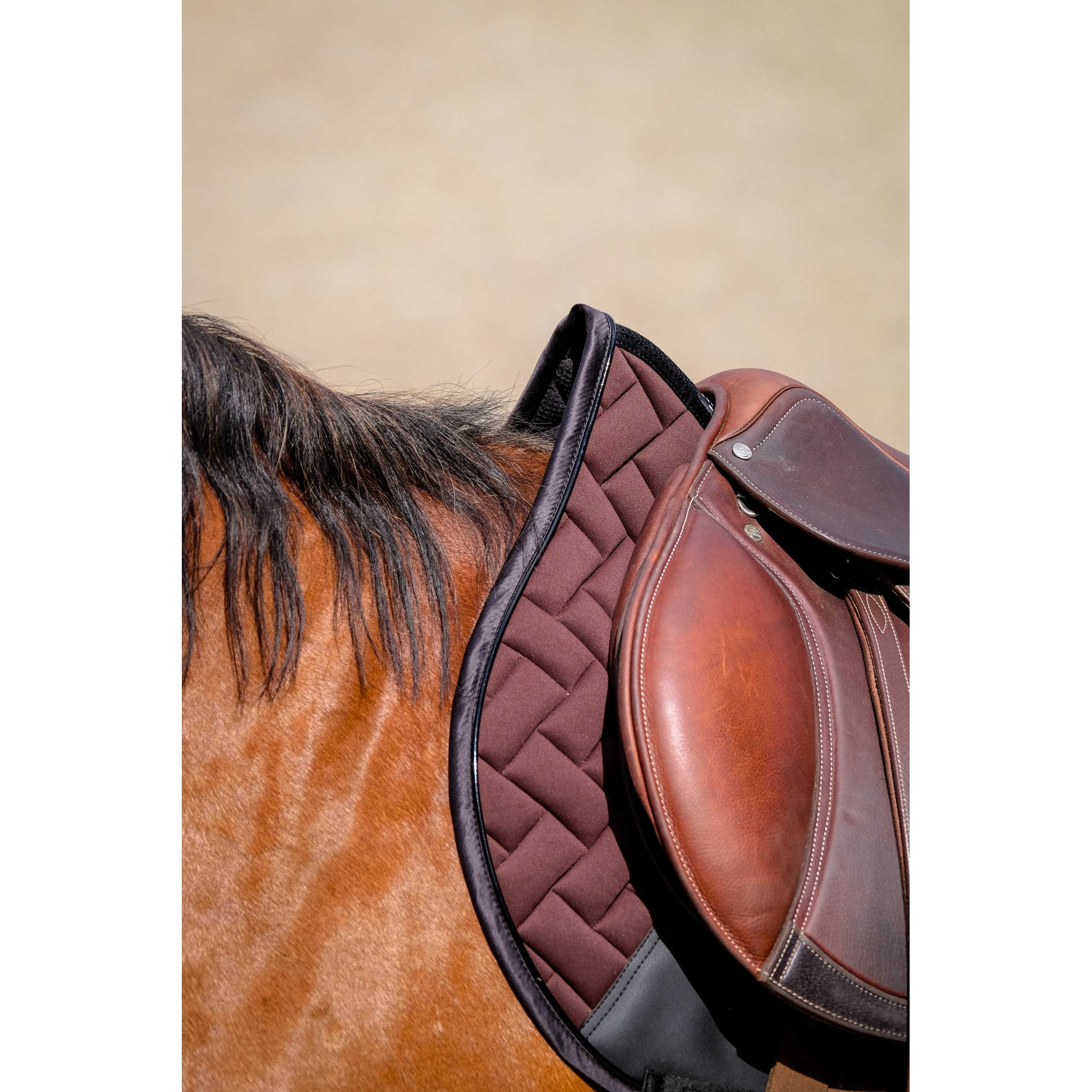 Equithème Impulsion Schabrak