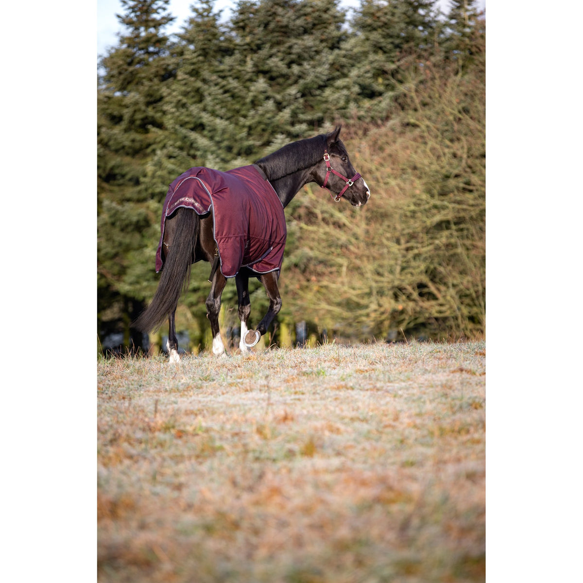 HorseGuard Landon 1200D Turnout täcke 100g