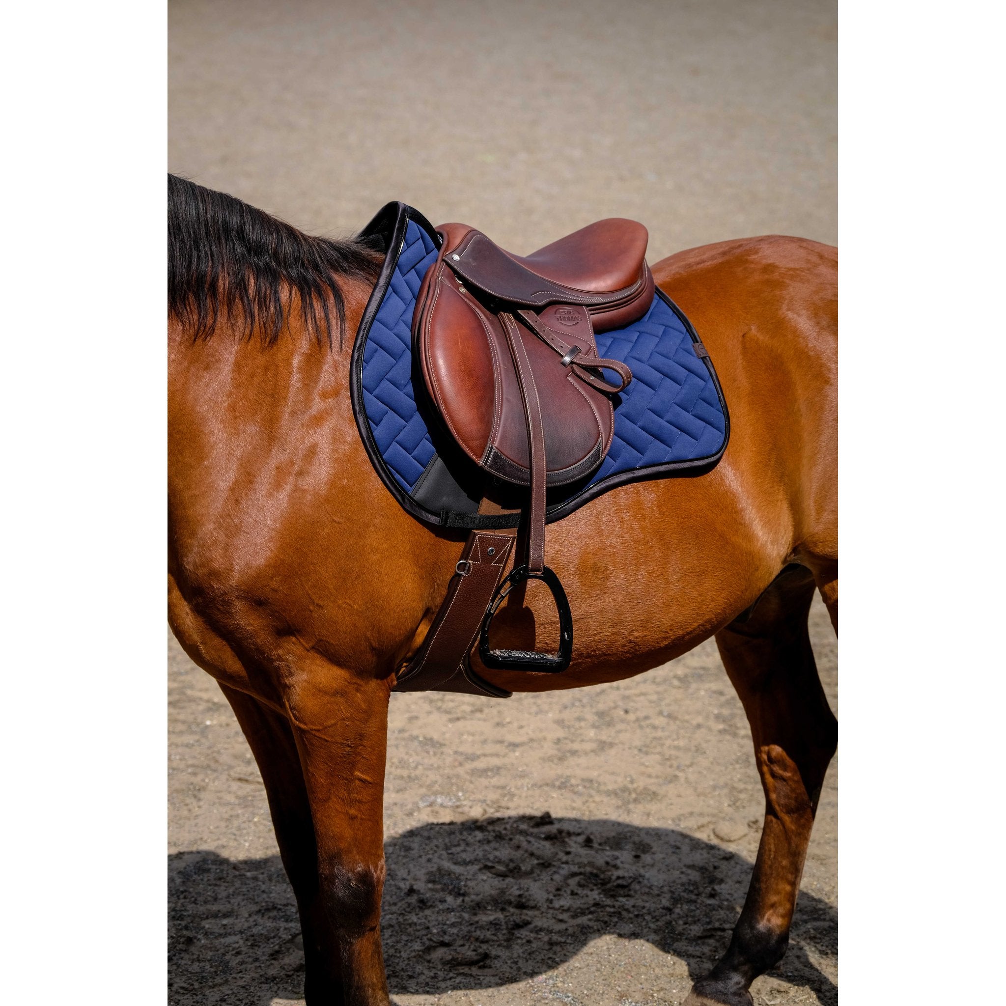 Equithème Impulsion Schabrak