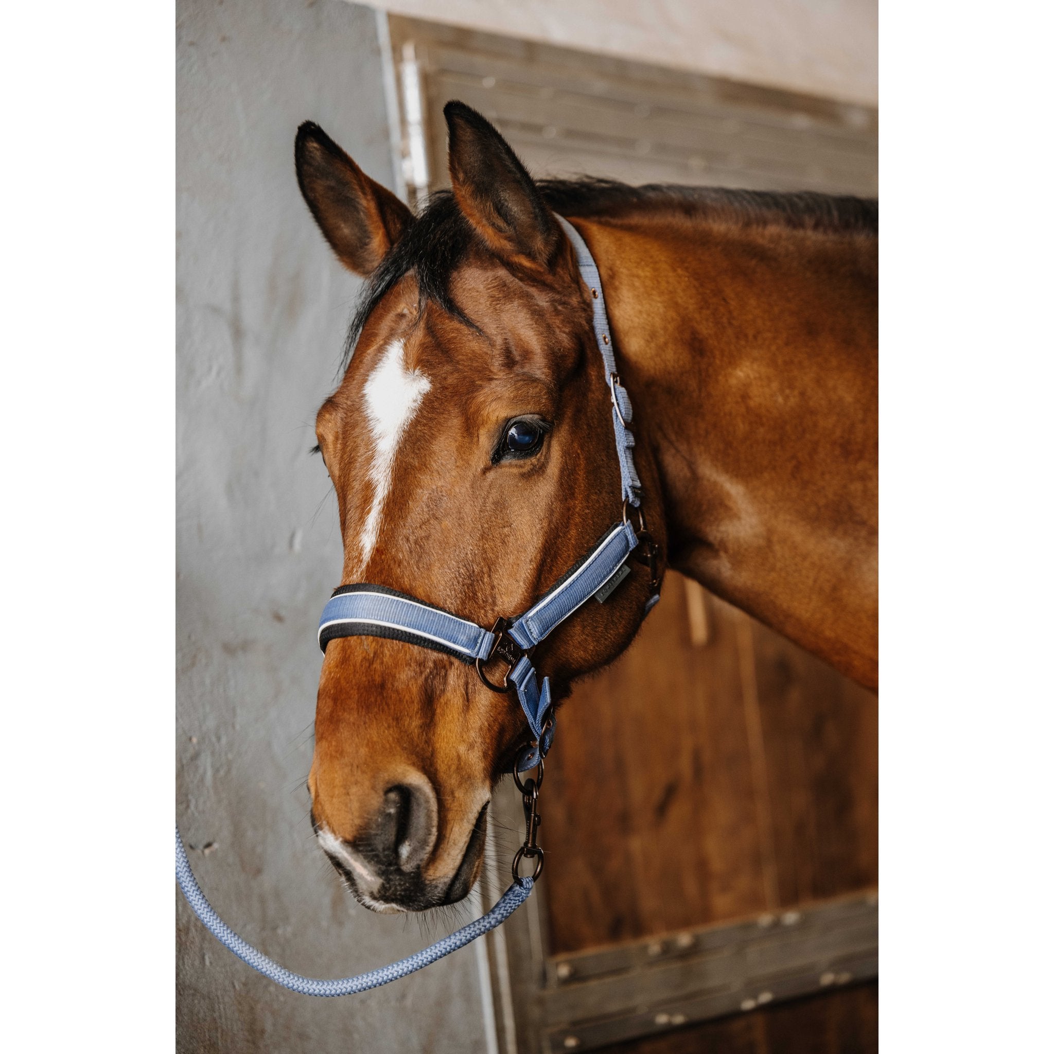 Equitheme Coco set grimma + grimskaft