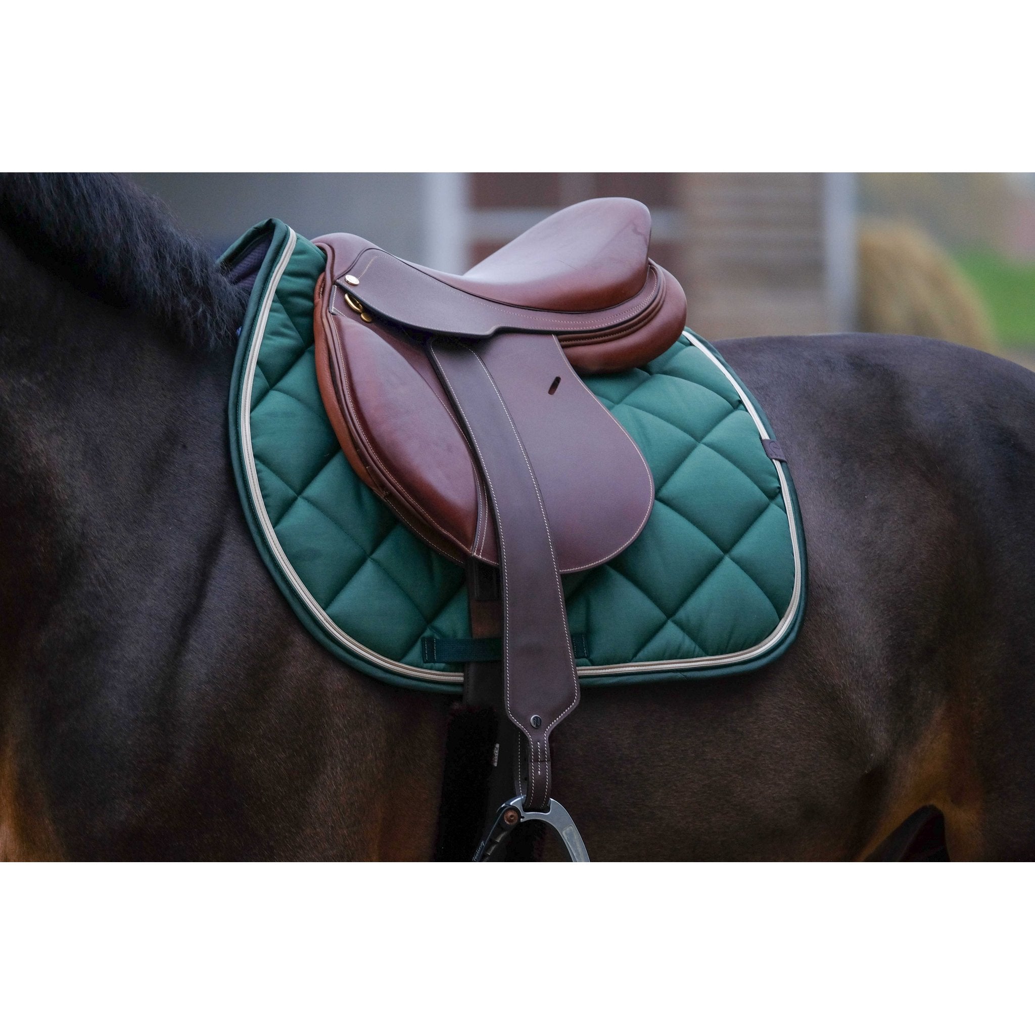 Equithème Classic Schabrak
