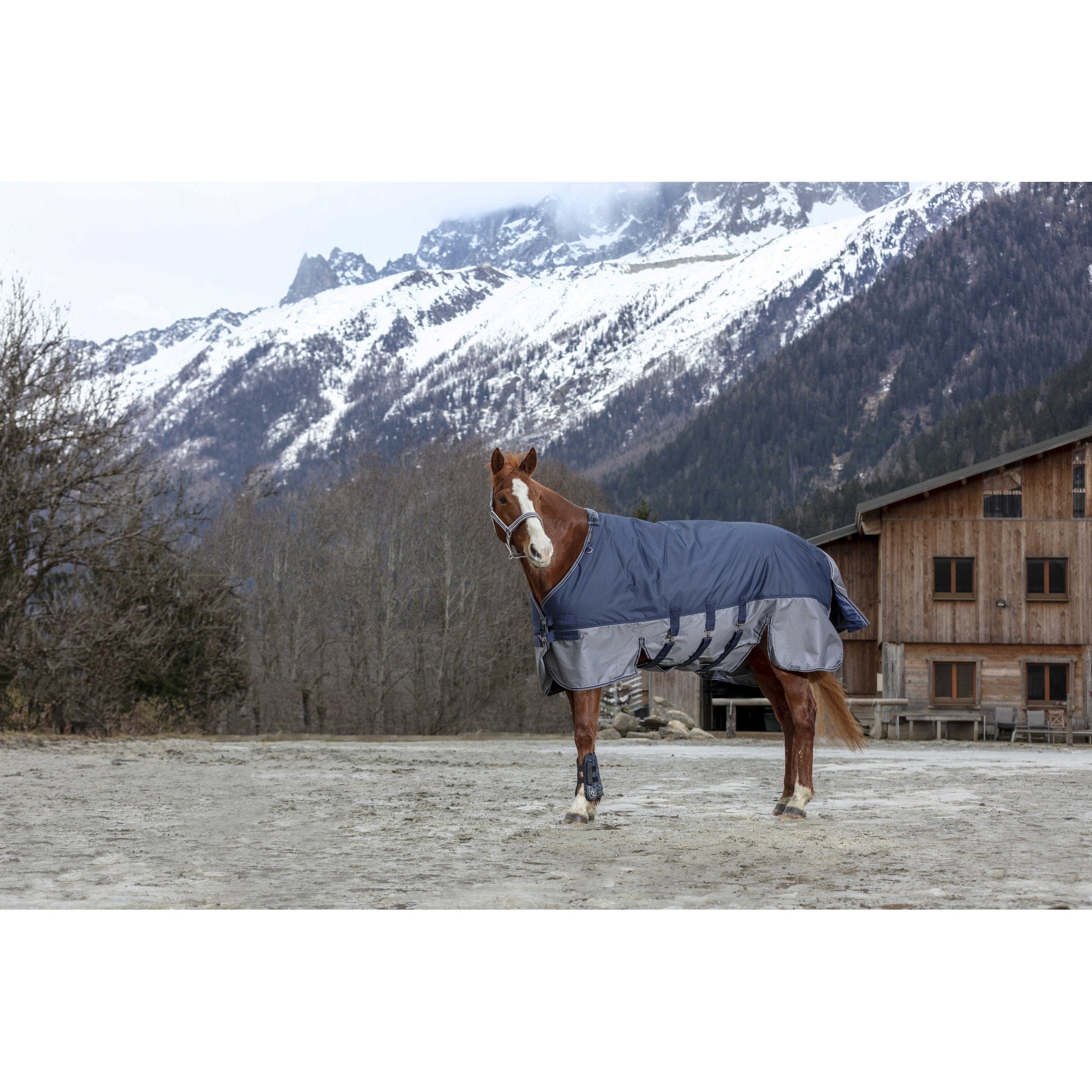 Equithème TYREX 600D Turnout täcke med magskydd 300 g