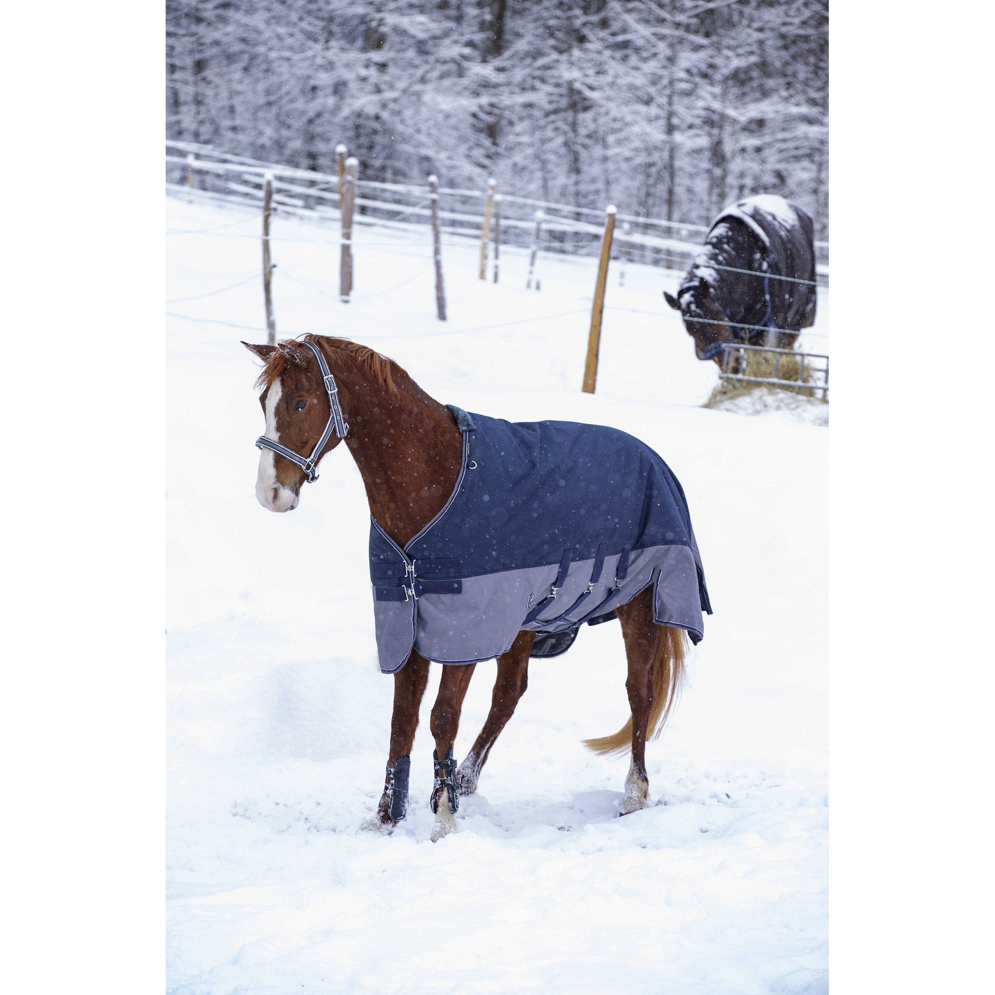 Equithème TYREX 600D Turnout täcke med magskydd 300 g