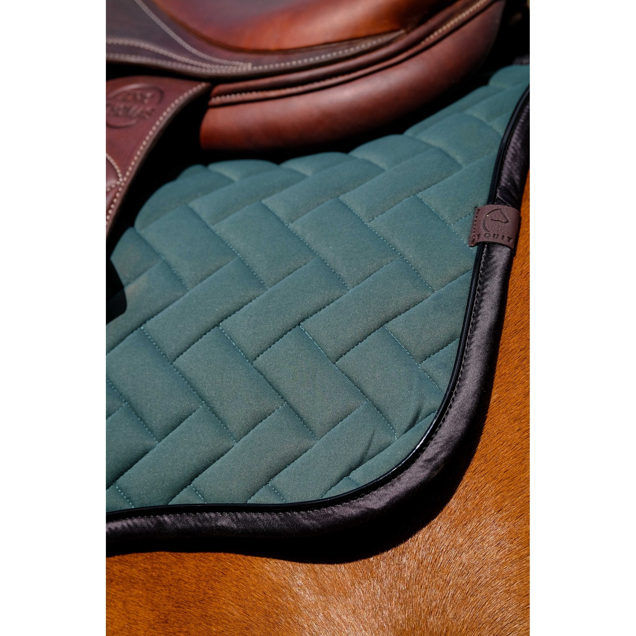 Equithème Impulsion Schabrak