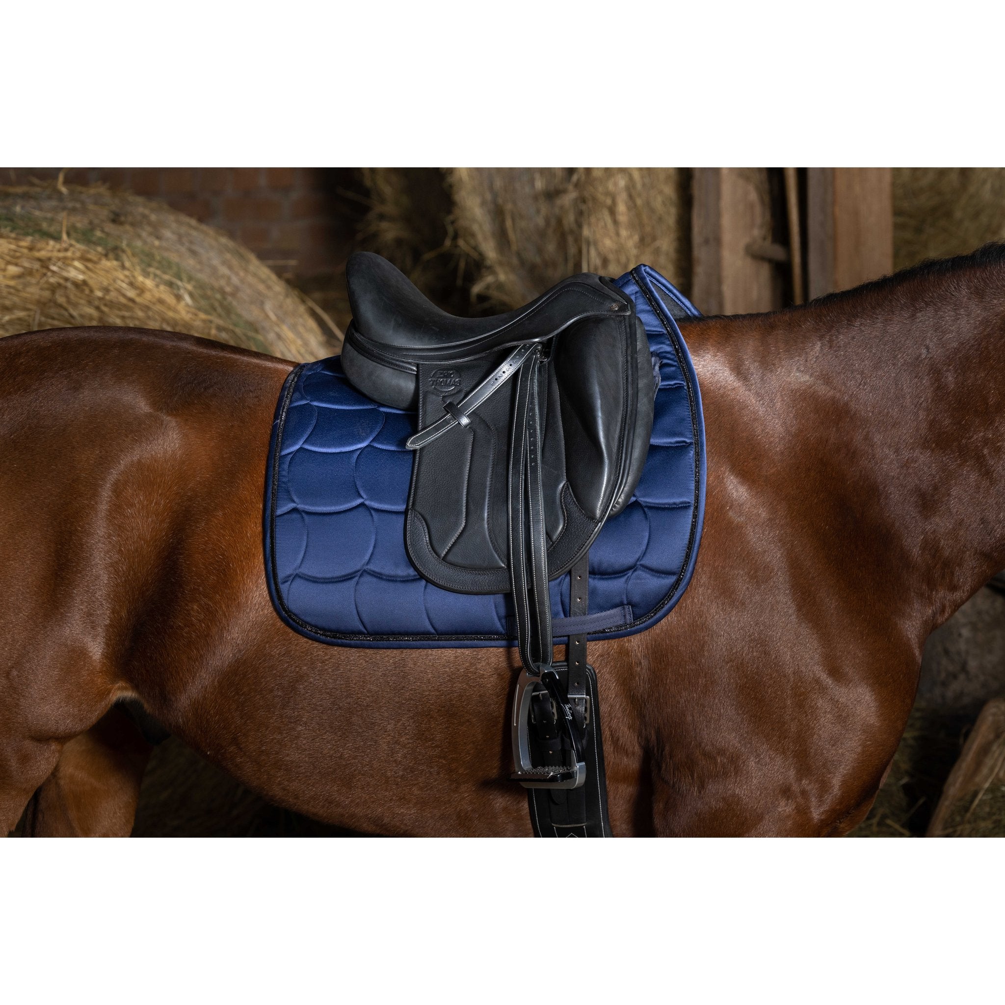 Equithème Satin Schabrak dressyr