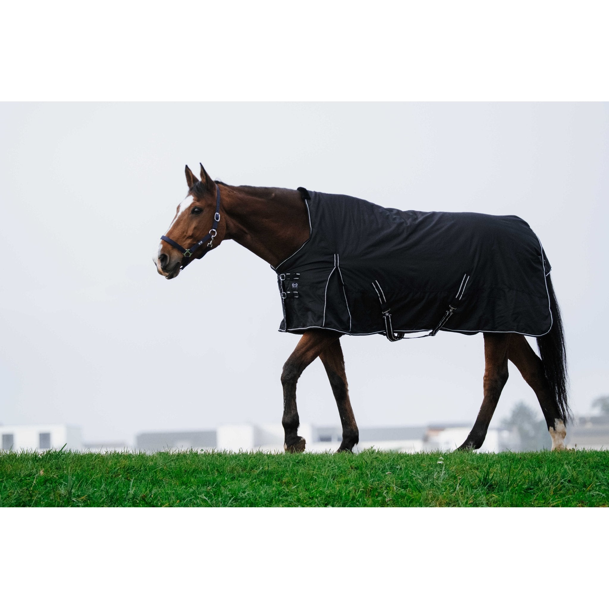 RIDING WORLD - Oxford - Regntäcke 220 g