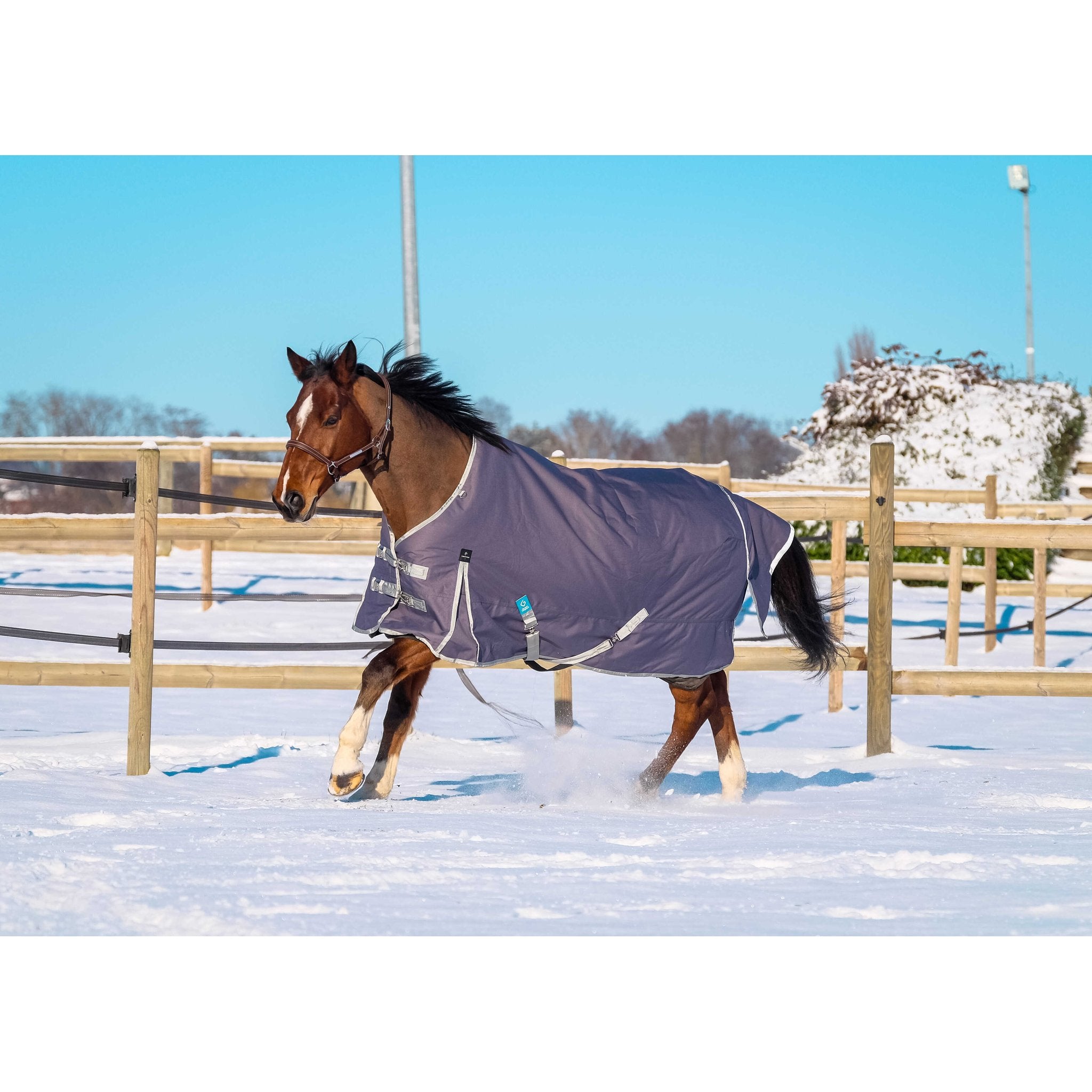 Equithème TYREX 1200D Återvunnet Turnout täcke 300 g