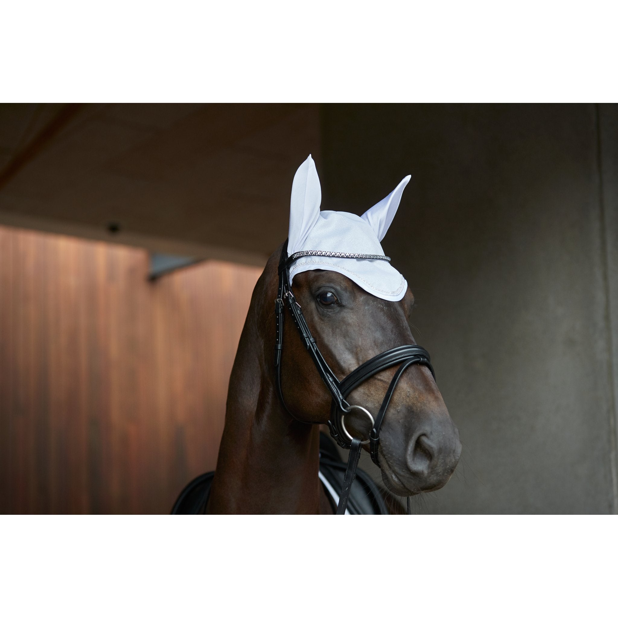 HorseGuard Milva Ridhuva
