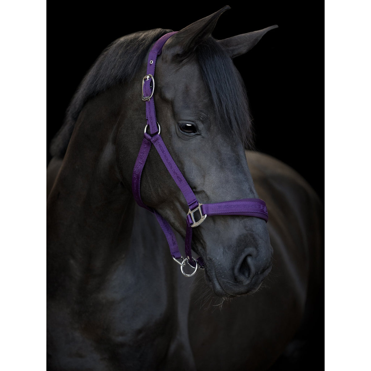 HorseGuard Diya 2.0 grimma