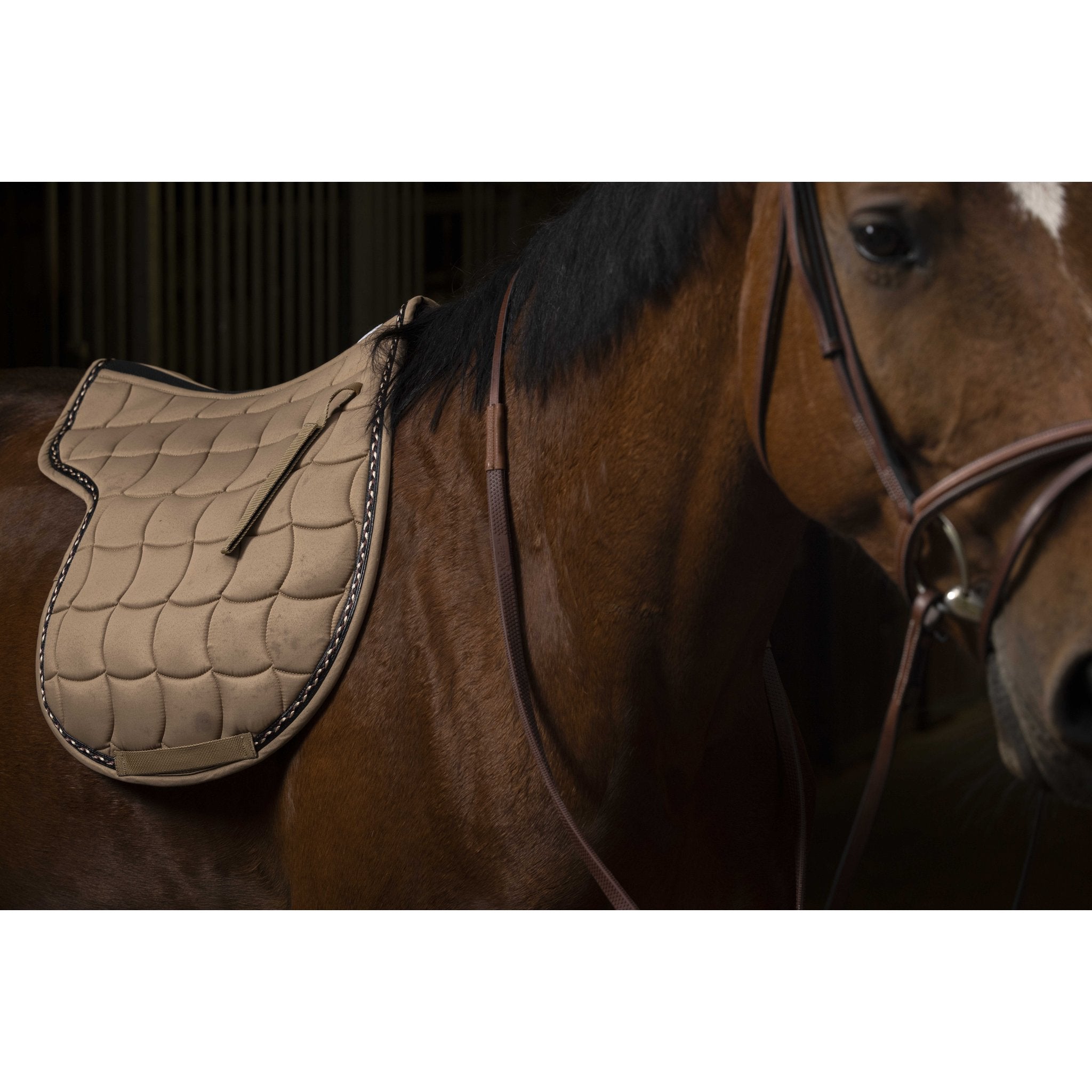 Equithème Hunter Schabrak