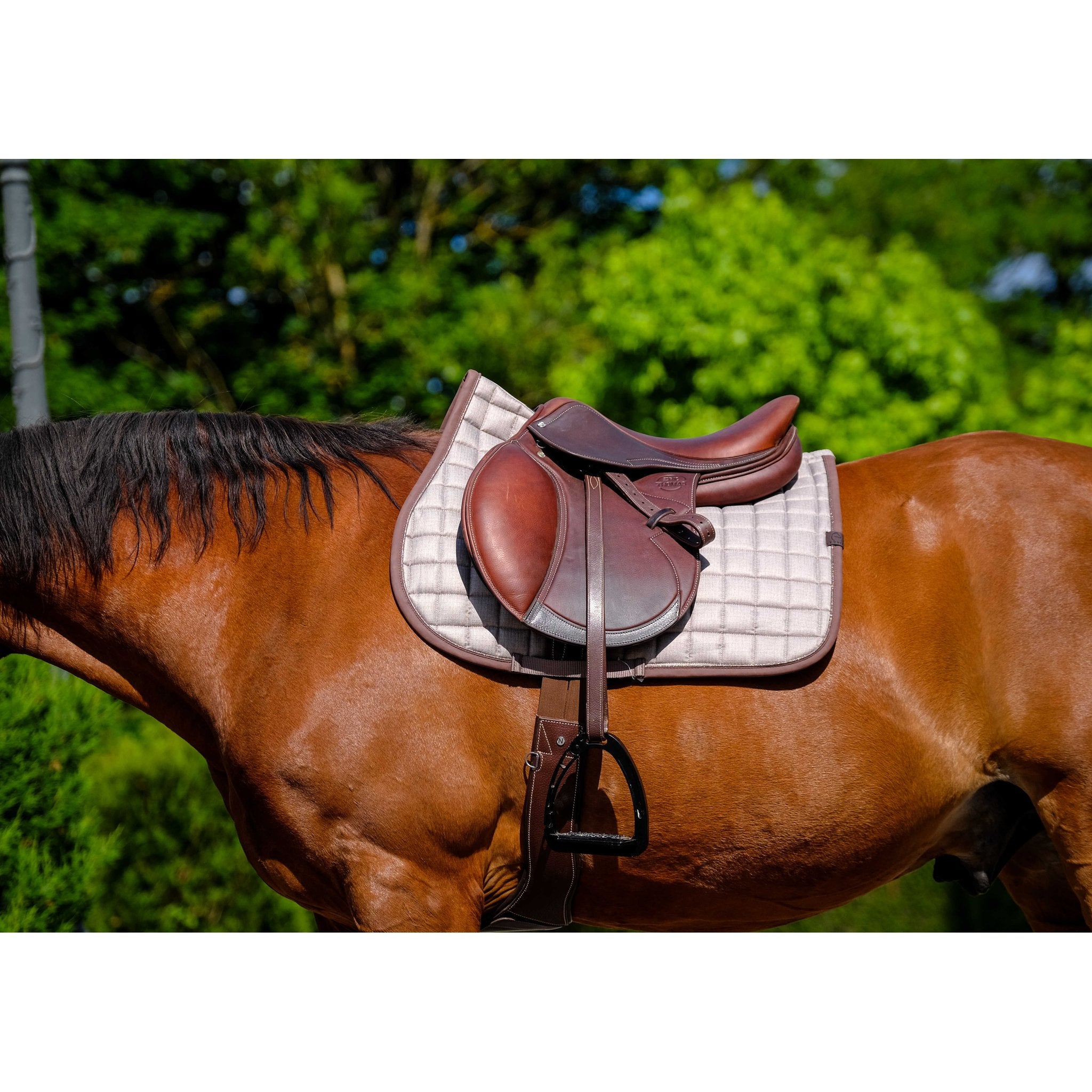 Equithème Chic Schabrak