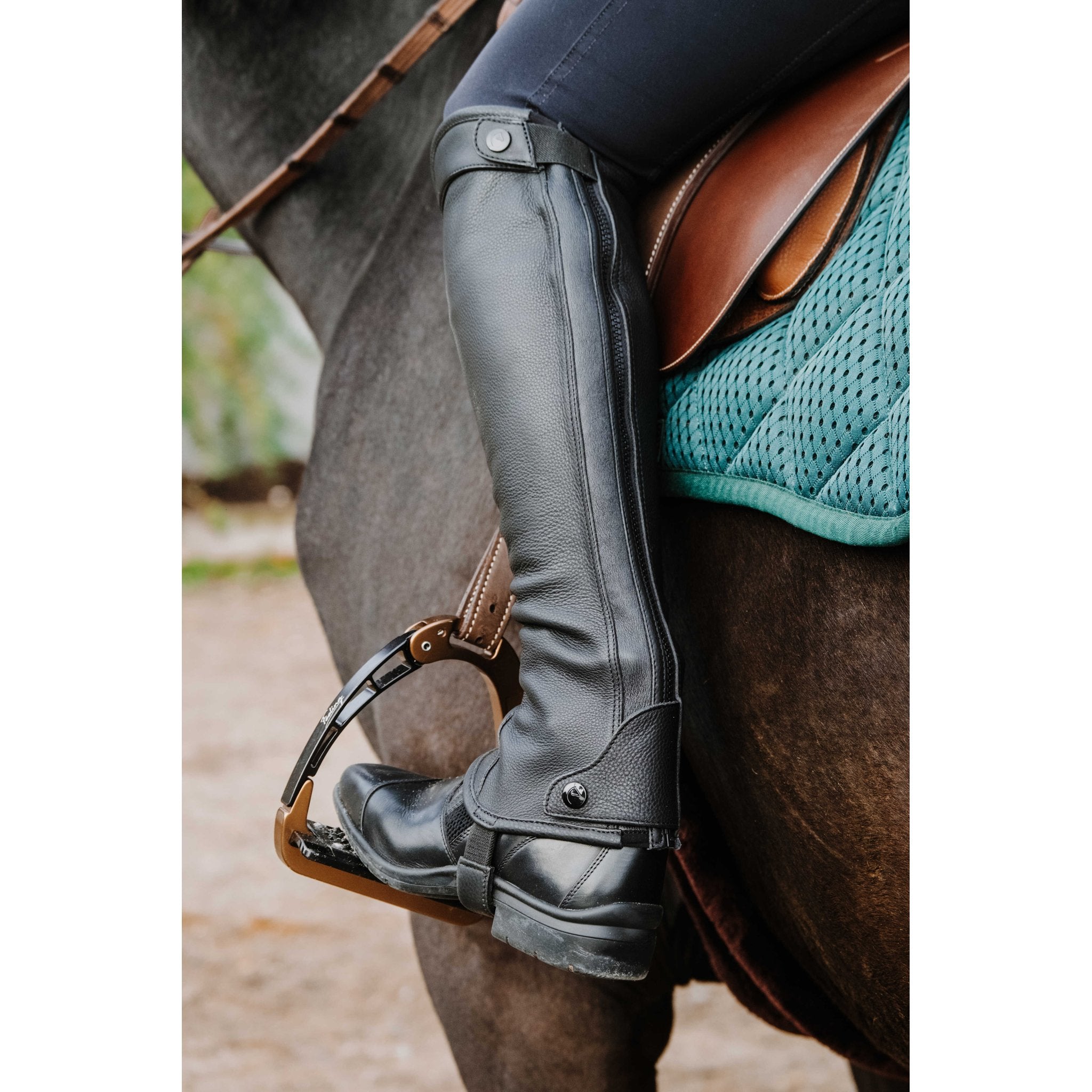 Equithème Select Chaps