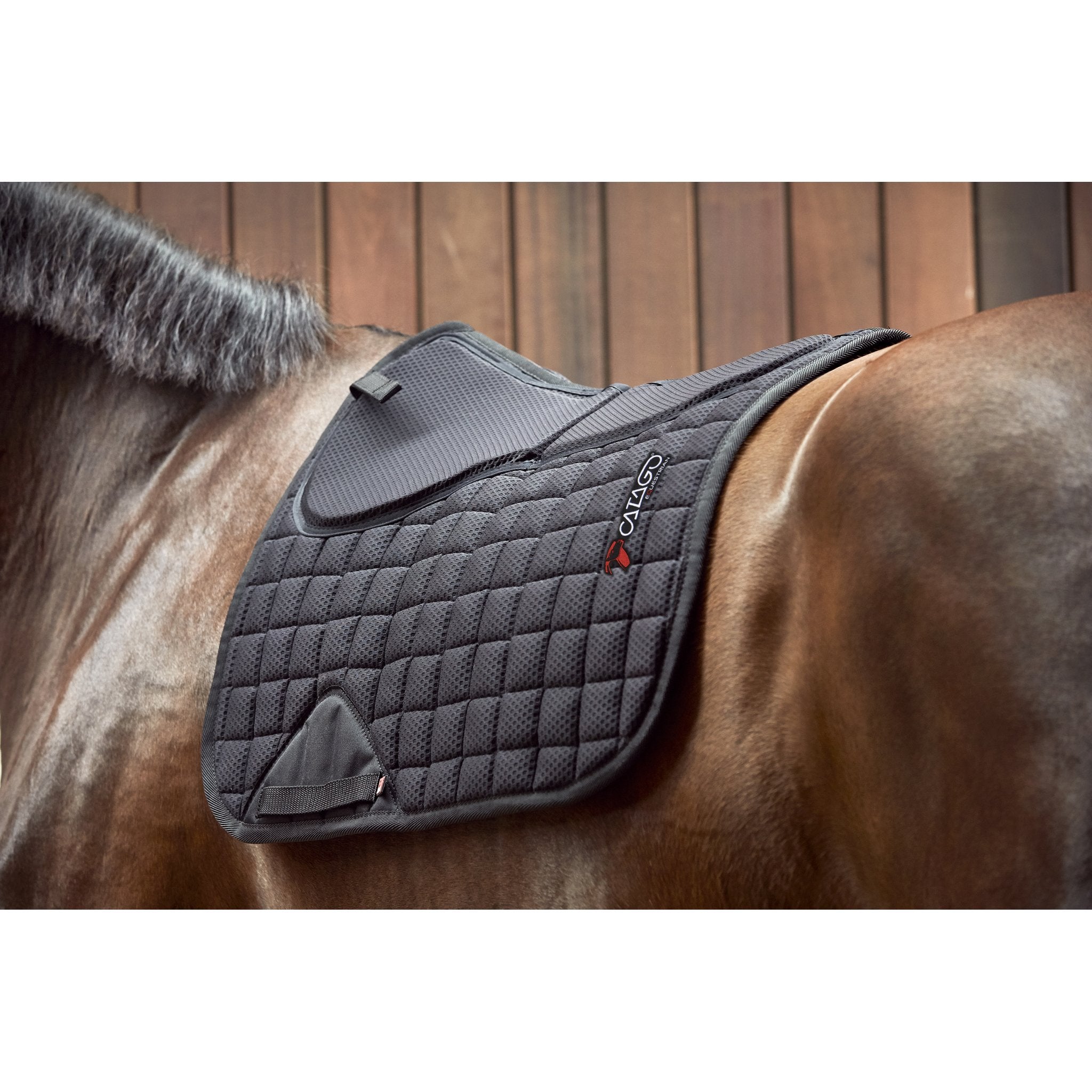 CATAGO FIR-TECH correction pad dr Dressyr