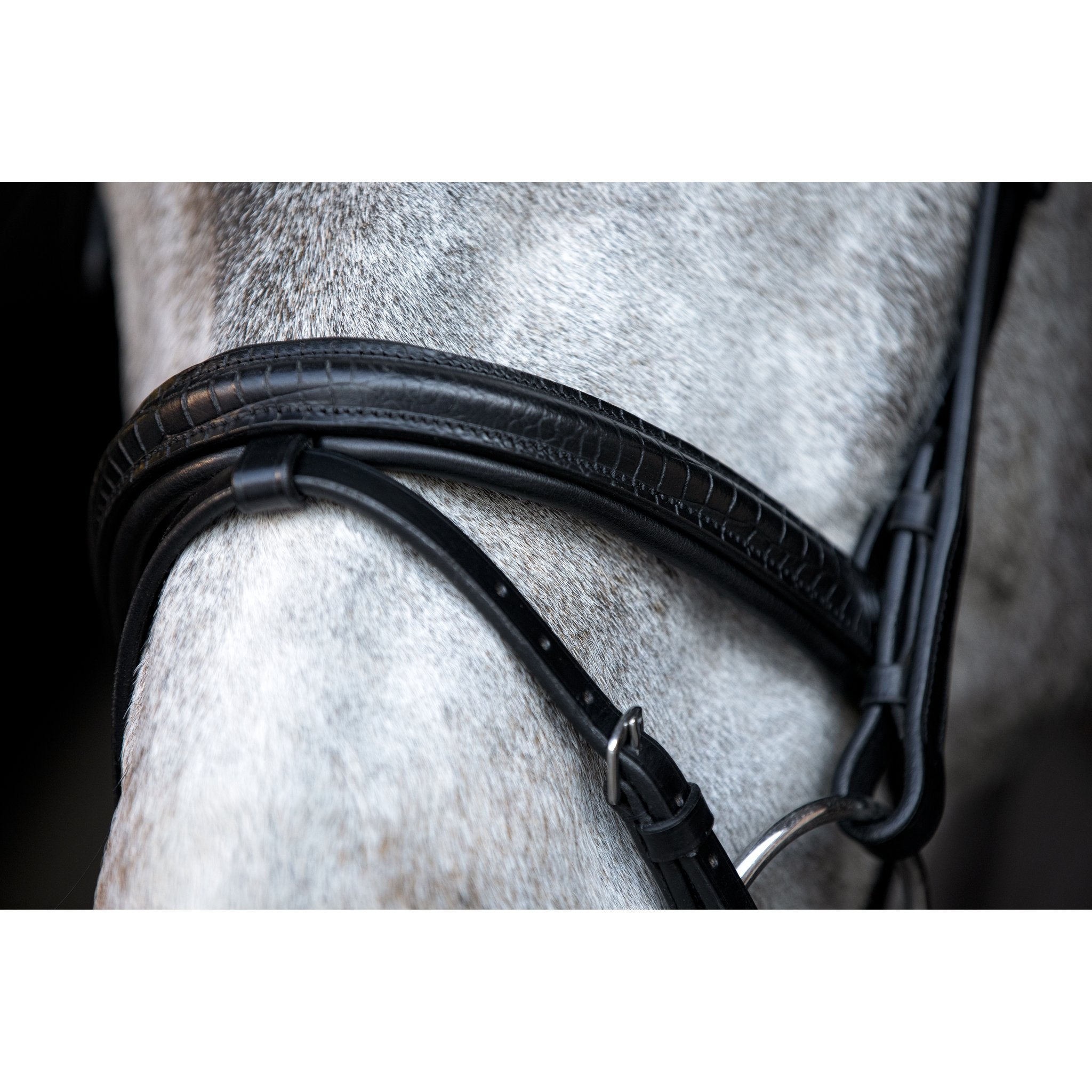 HorseGuard Emi 24.2 träns med kombinerad nosgrimma