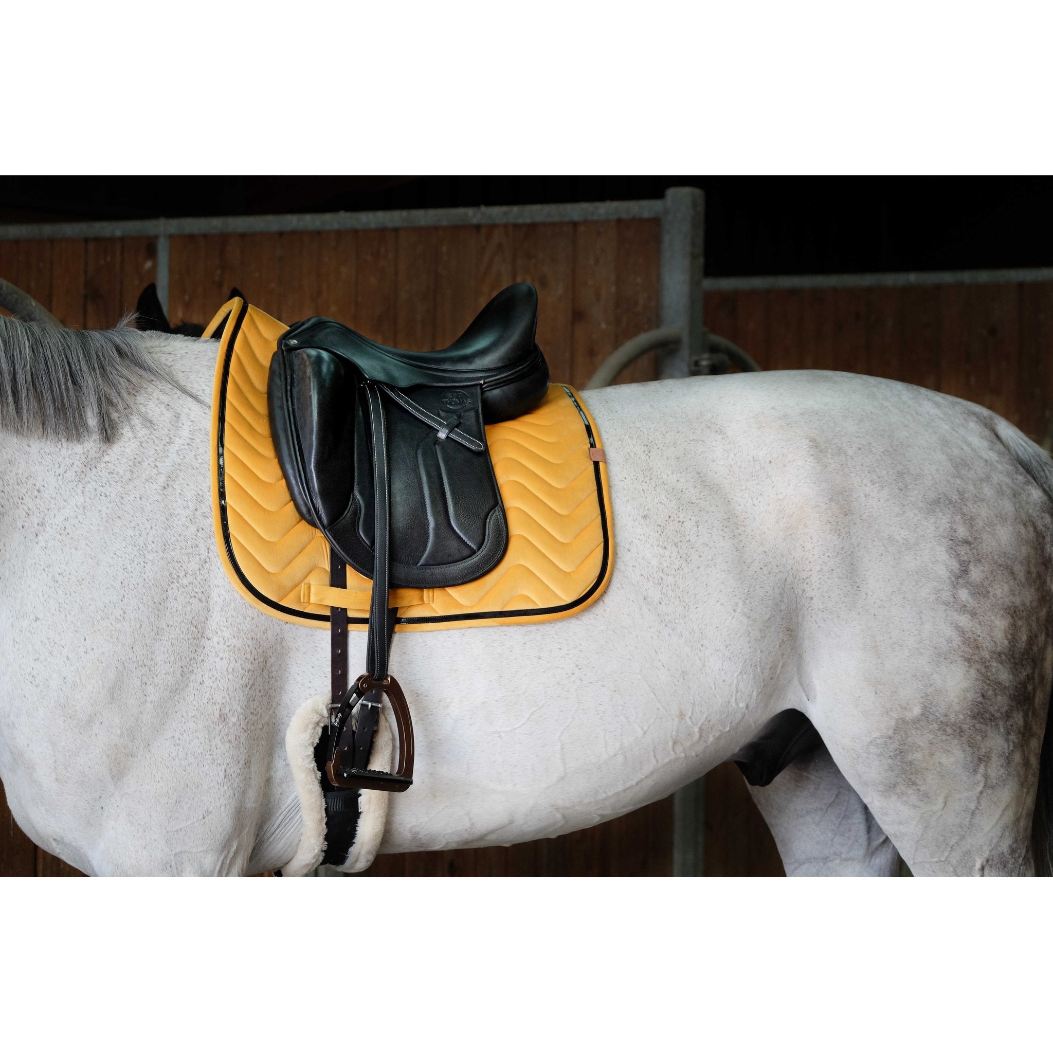 Equithème Glossy Schabrak Dr