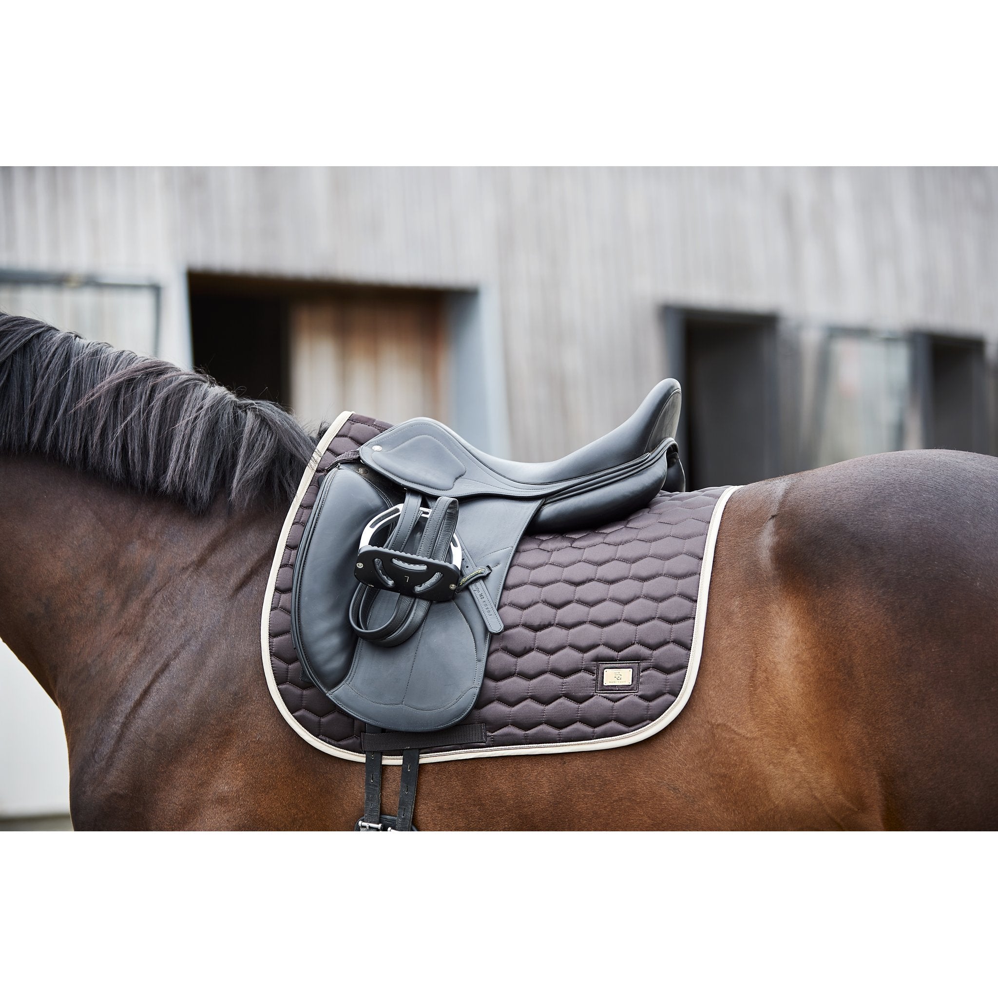 HorseGuard Kora schabrak