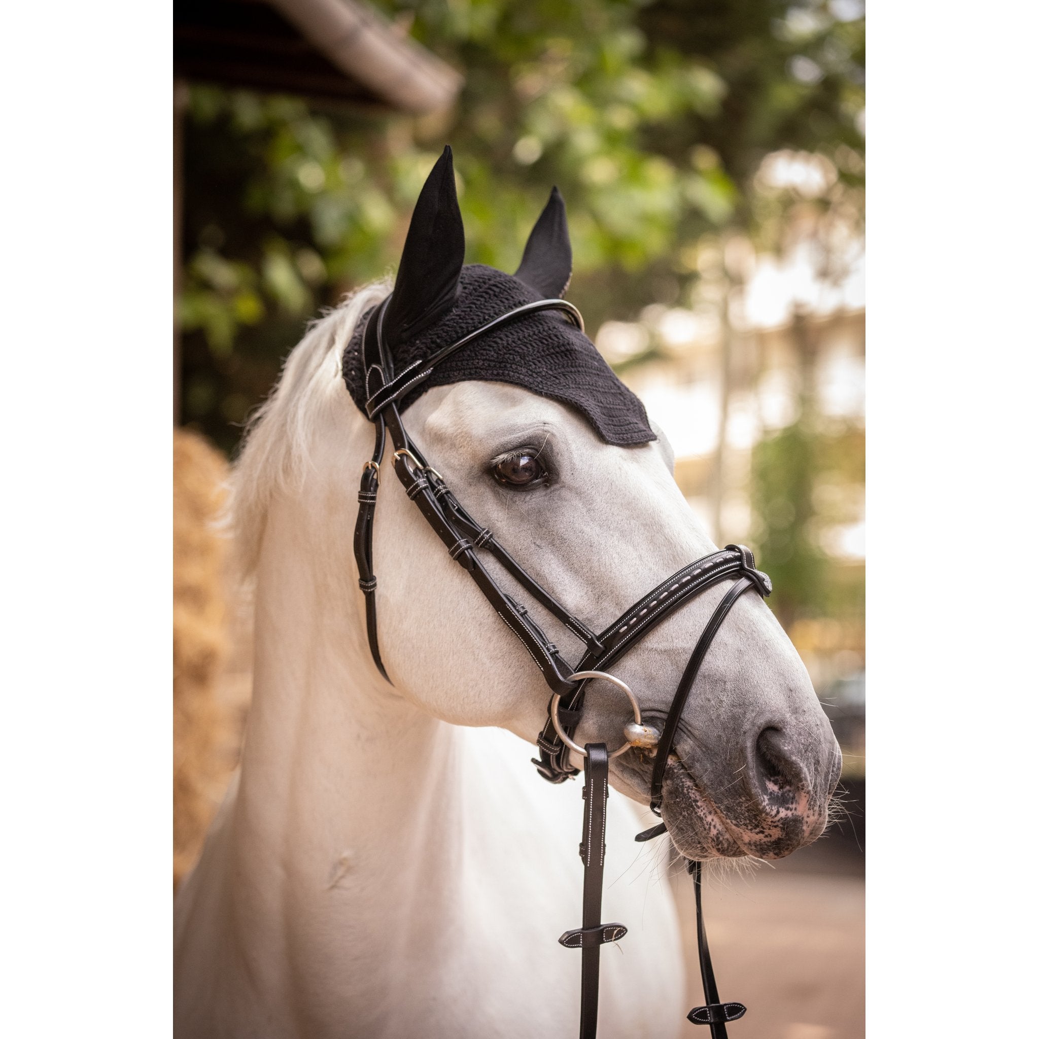 PADDOCK Pro coton luva