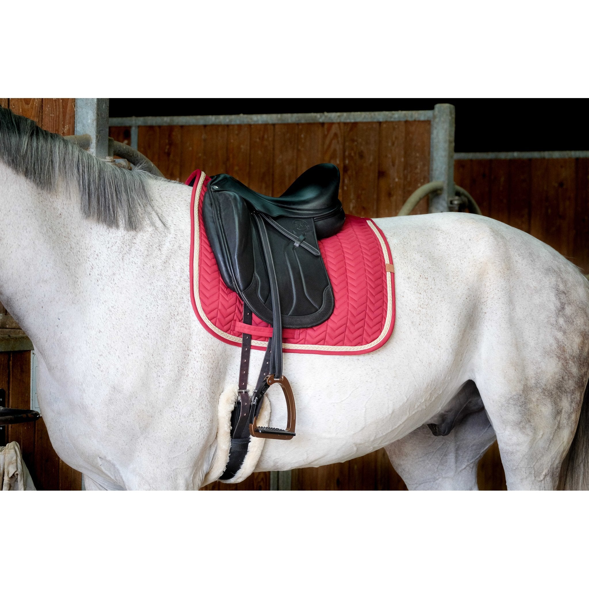 Equithème Softy Schabrak dressyr