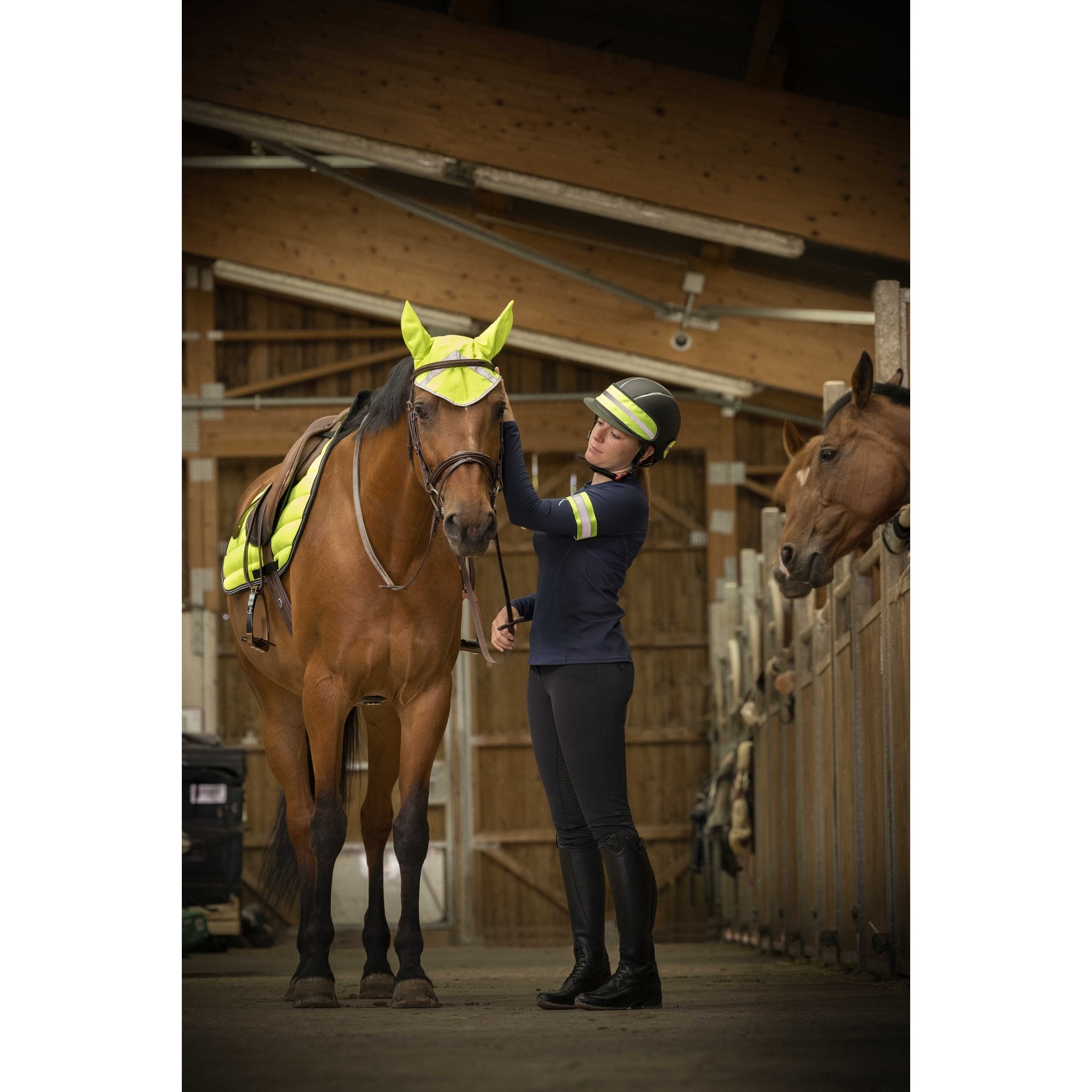 Equithème High Visibility Hjälmband