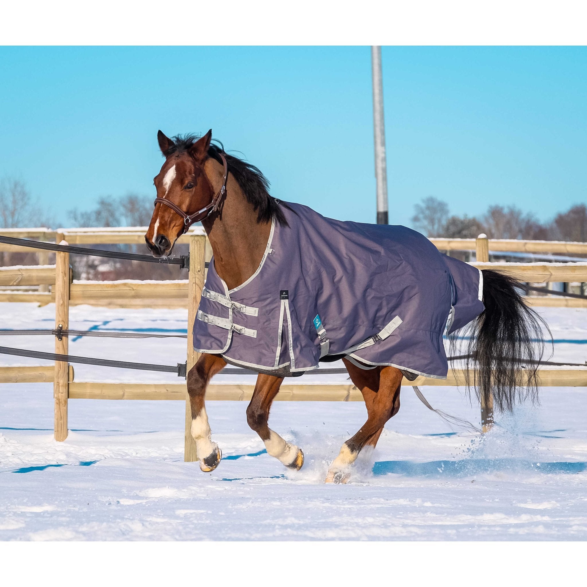 Equithème TYREX 1200D Återvunnet Turnout täcke 300 g