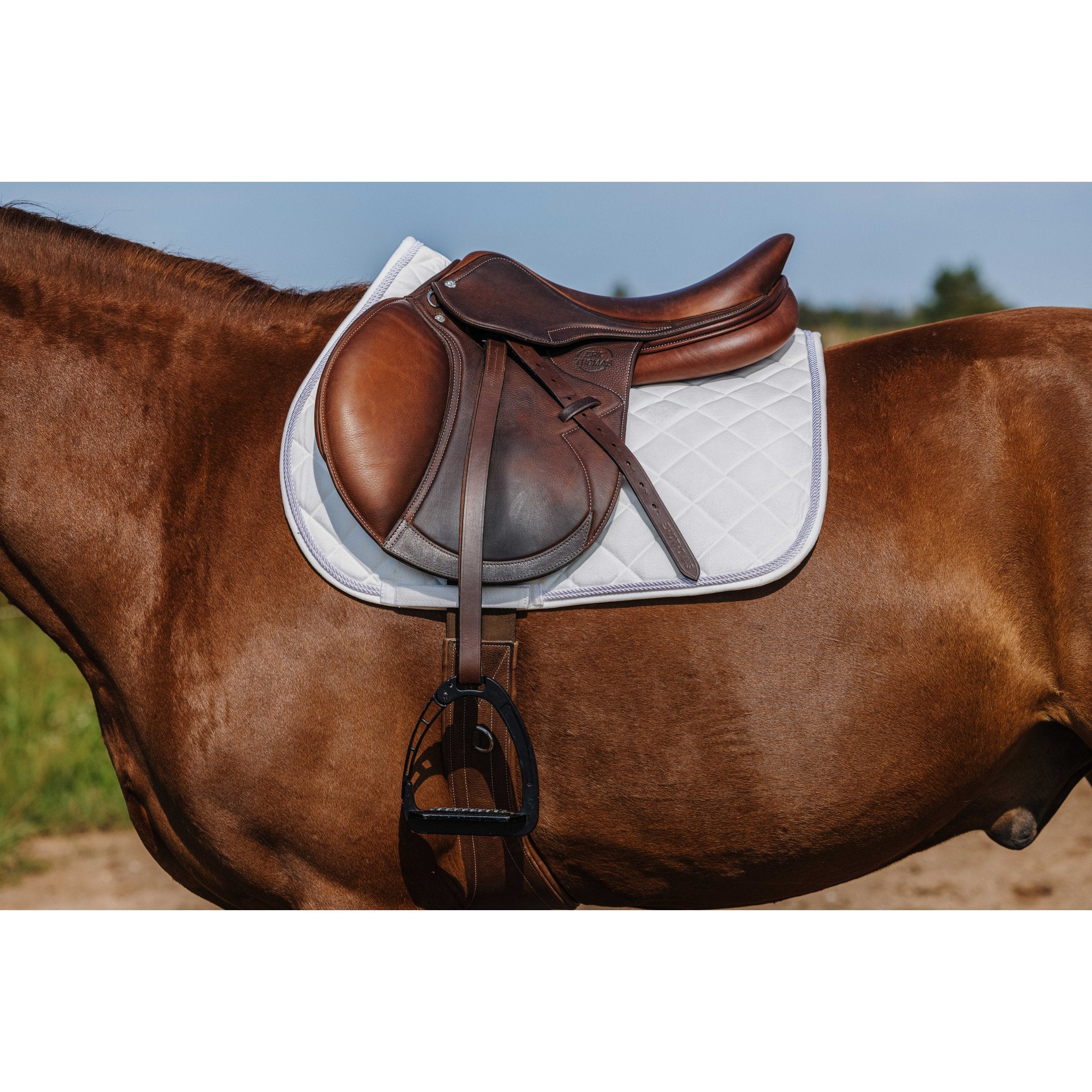RIDING WORLD Velours Hoppschabrak