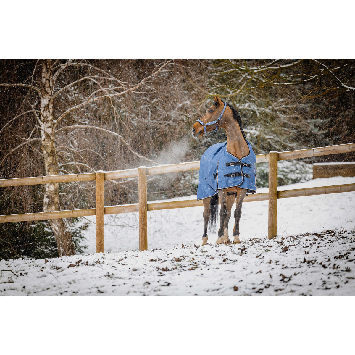 Equitheme Tyrex Aisance high neck, 150 g