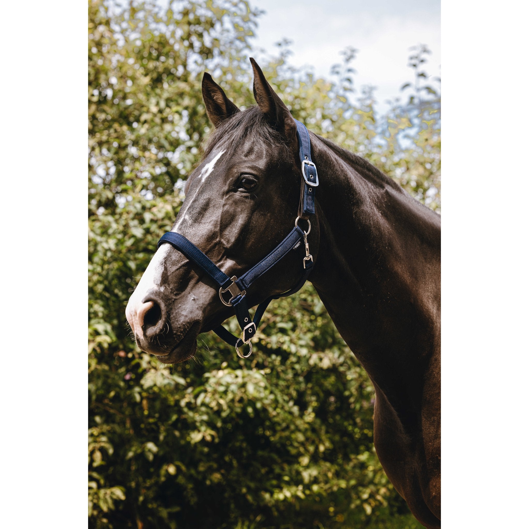 Equithème Protector Nylongrimma