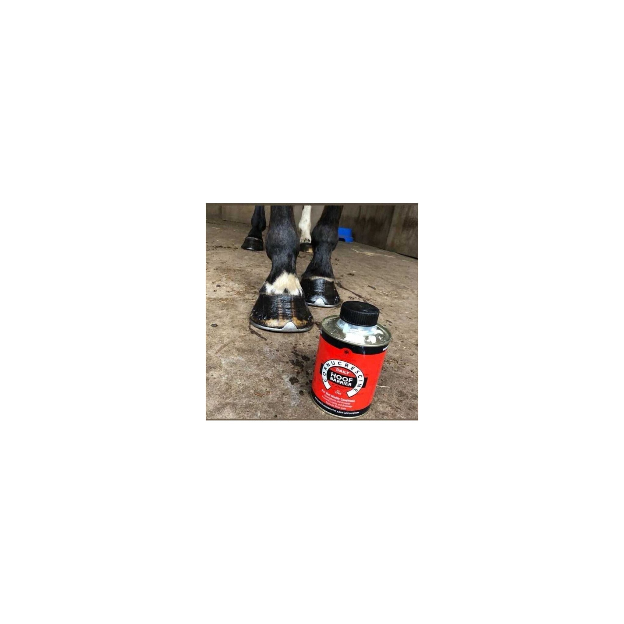 CARR & DAY & MARTIN - Daily Hoof Barrier Cornucrescine - Hoof Oil