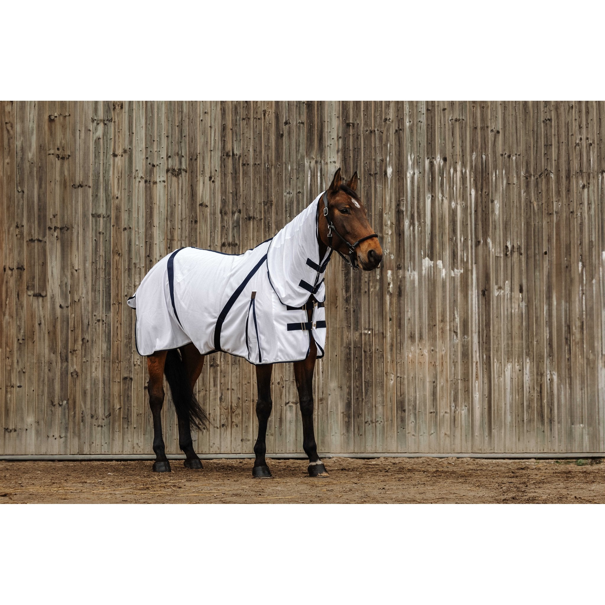 Equithème Mesh Combo Anti insektstäcke