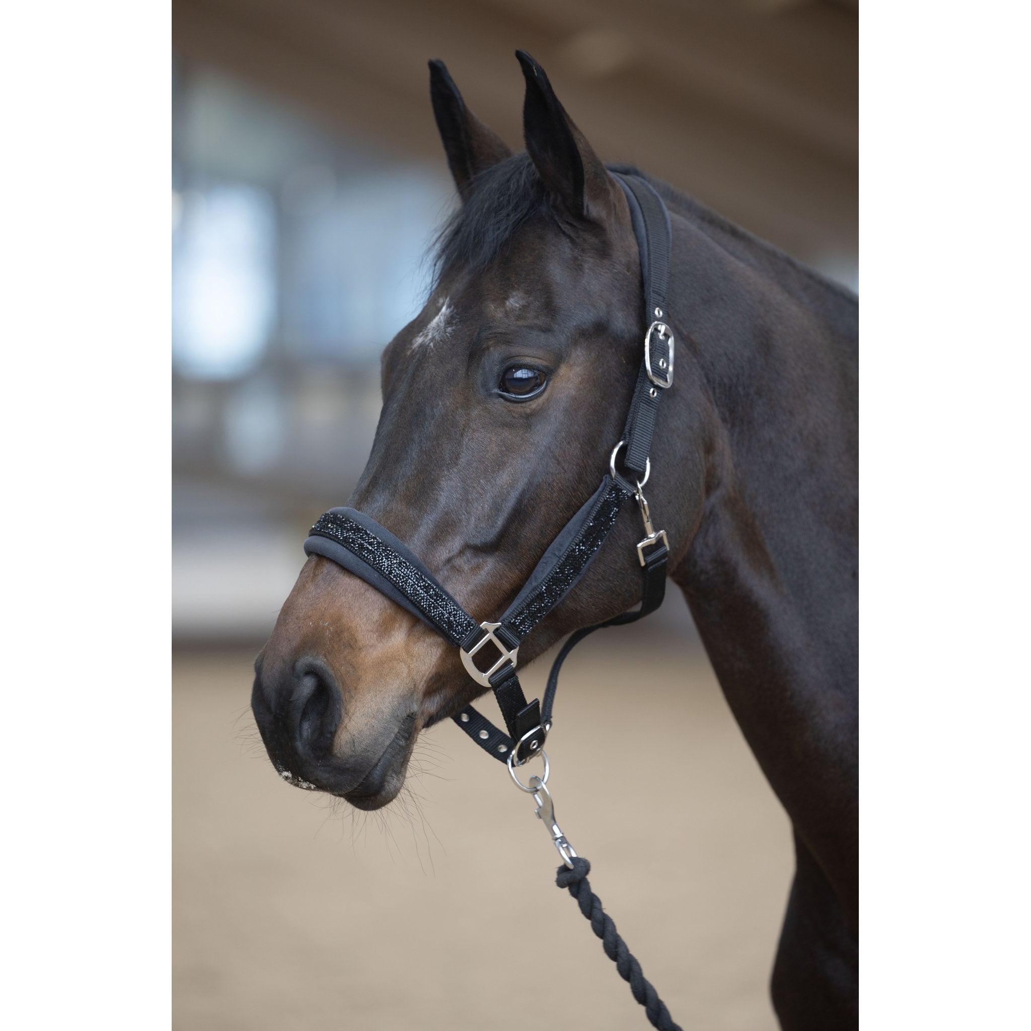 Horse Guard Angel grimma med glitter