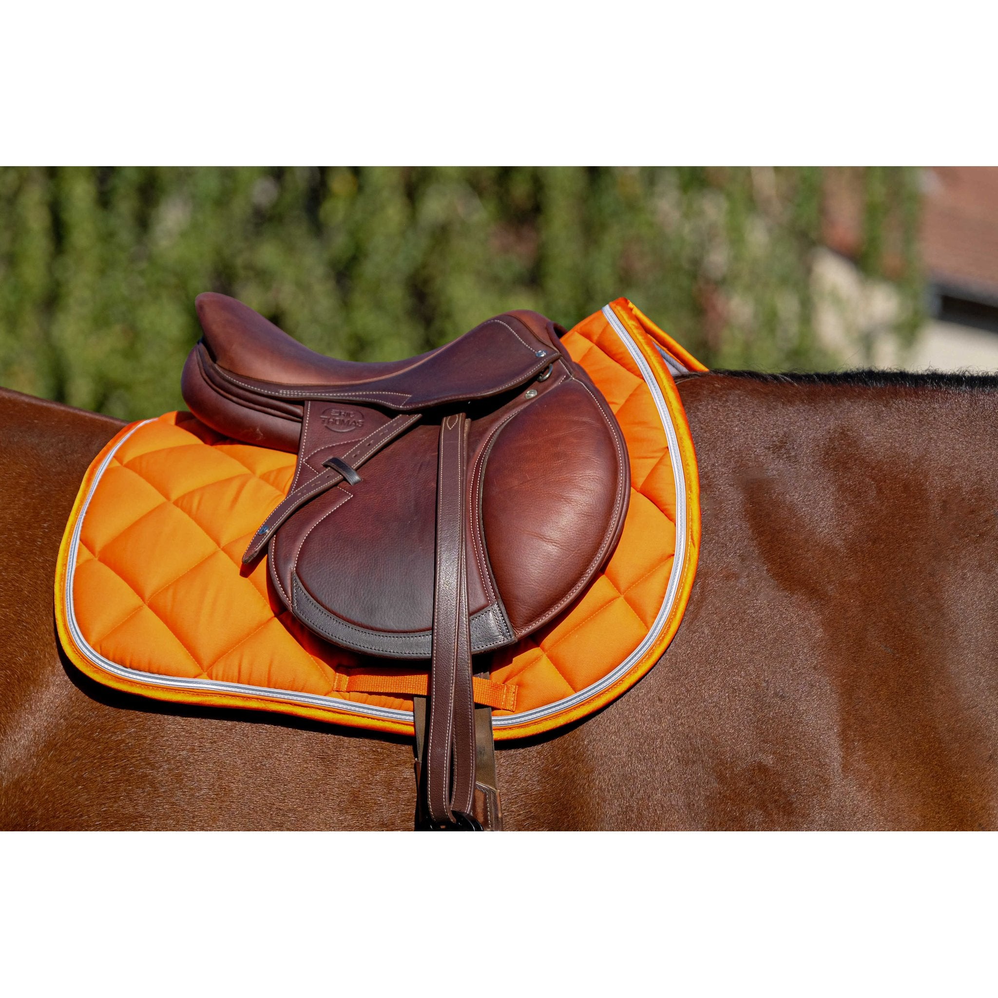 Equithème Classic Schabrak