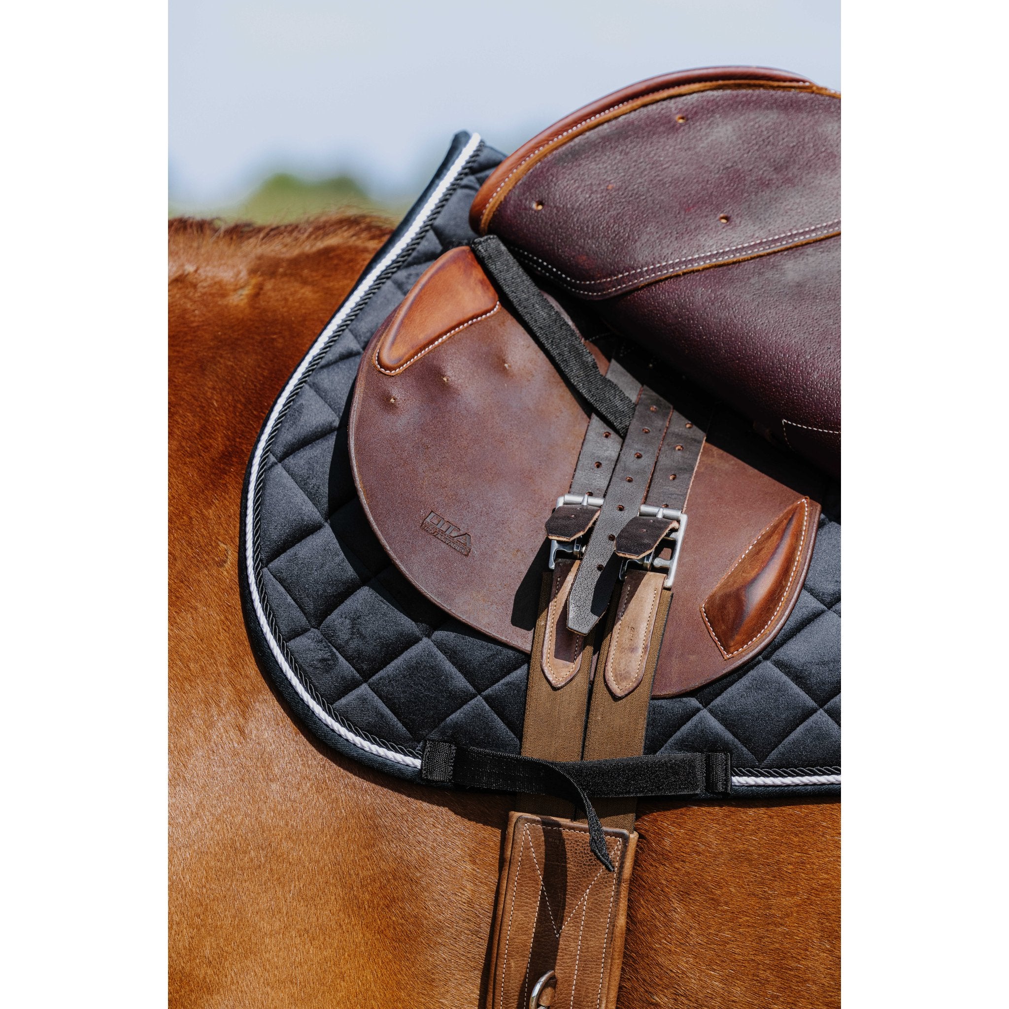 RIDING WORLD Velours Hoppschabrak