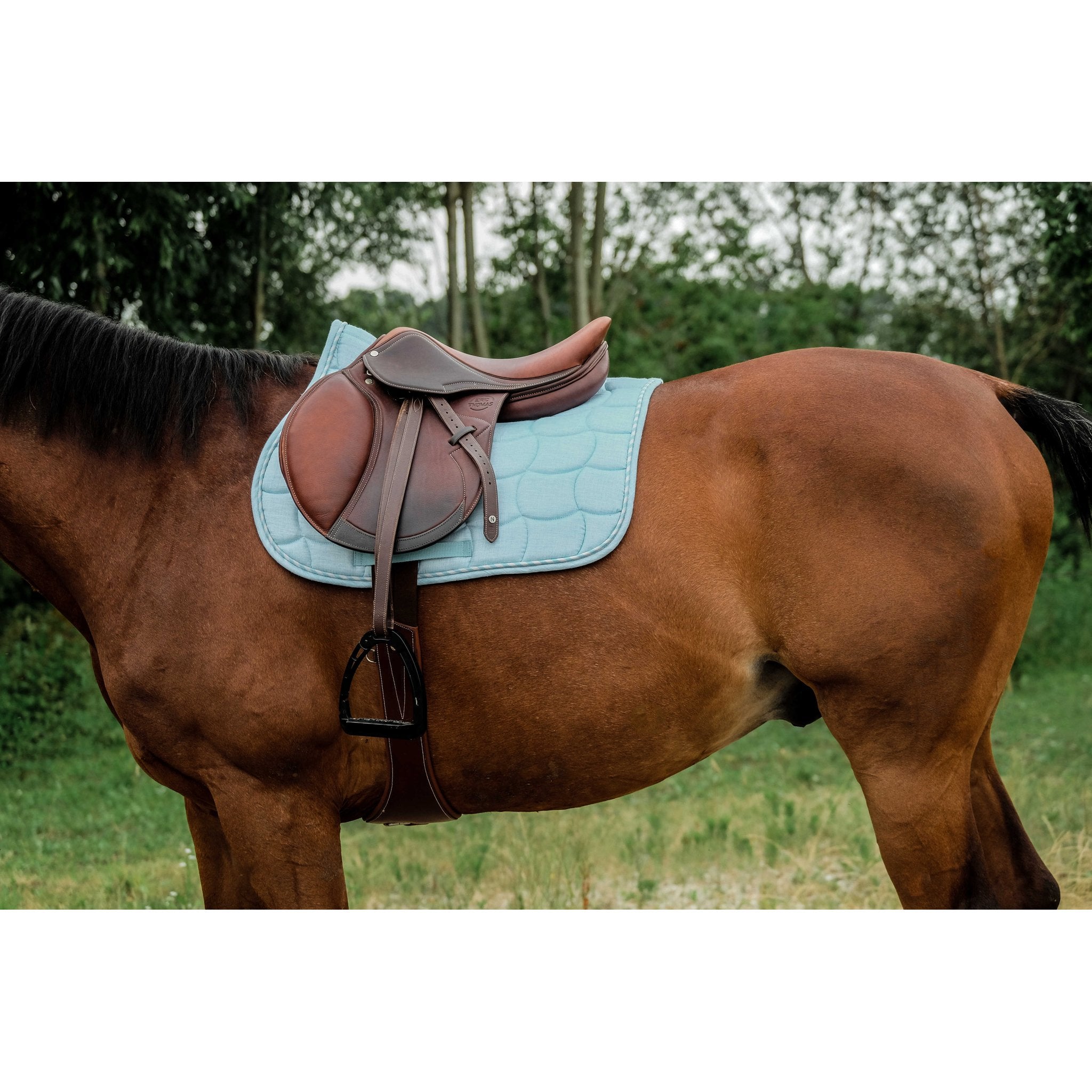 RIDING WORLD Sunshine Hoppschabrak