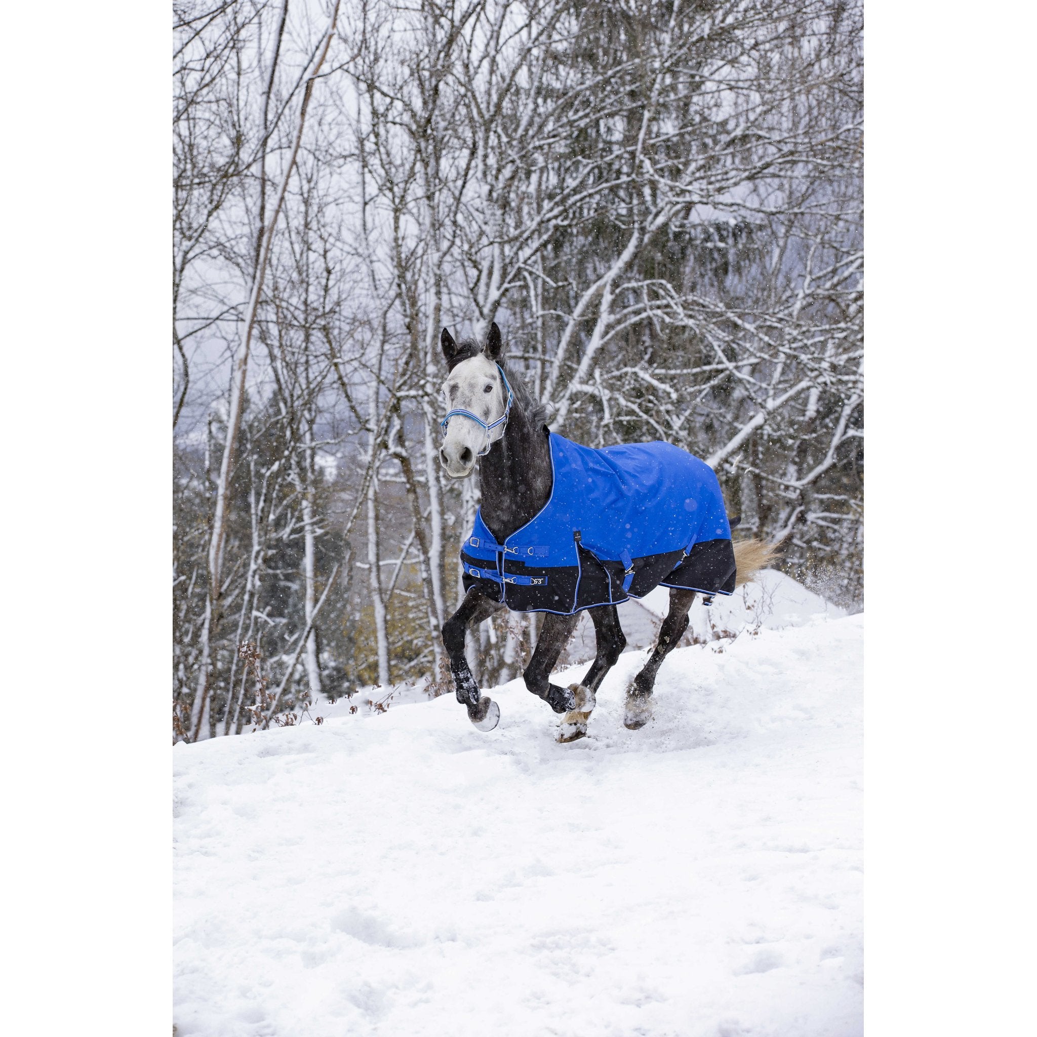 Equithème TYREX Aisance 1200D hög hals täcke 300 g