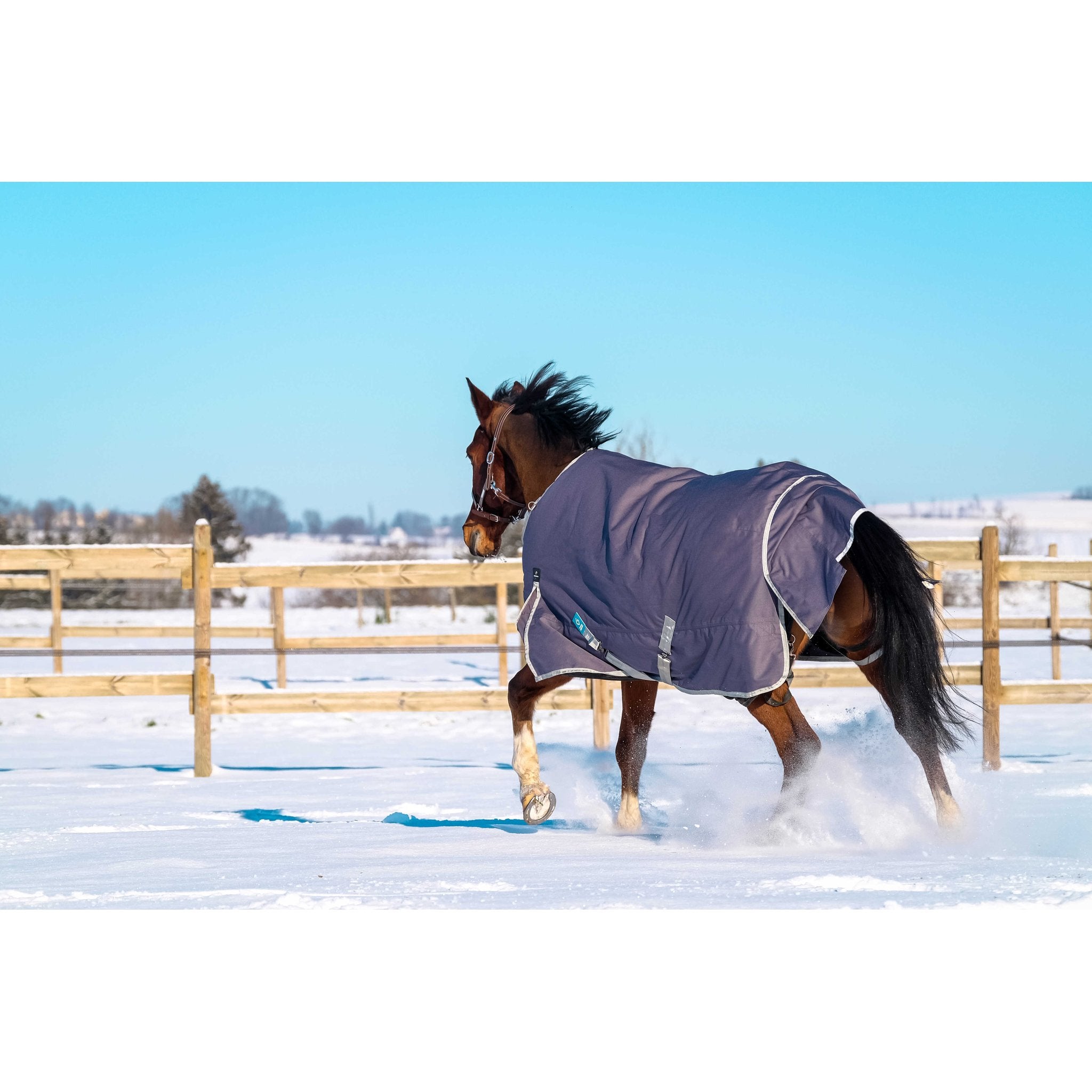 Equithème TYREX 1200D Återvunnet Turnout täcke 50 g