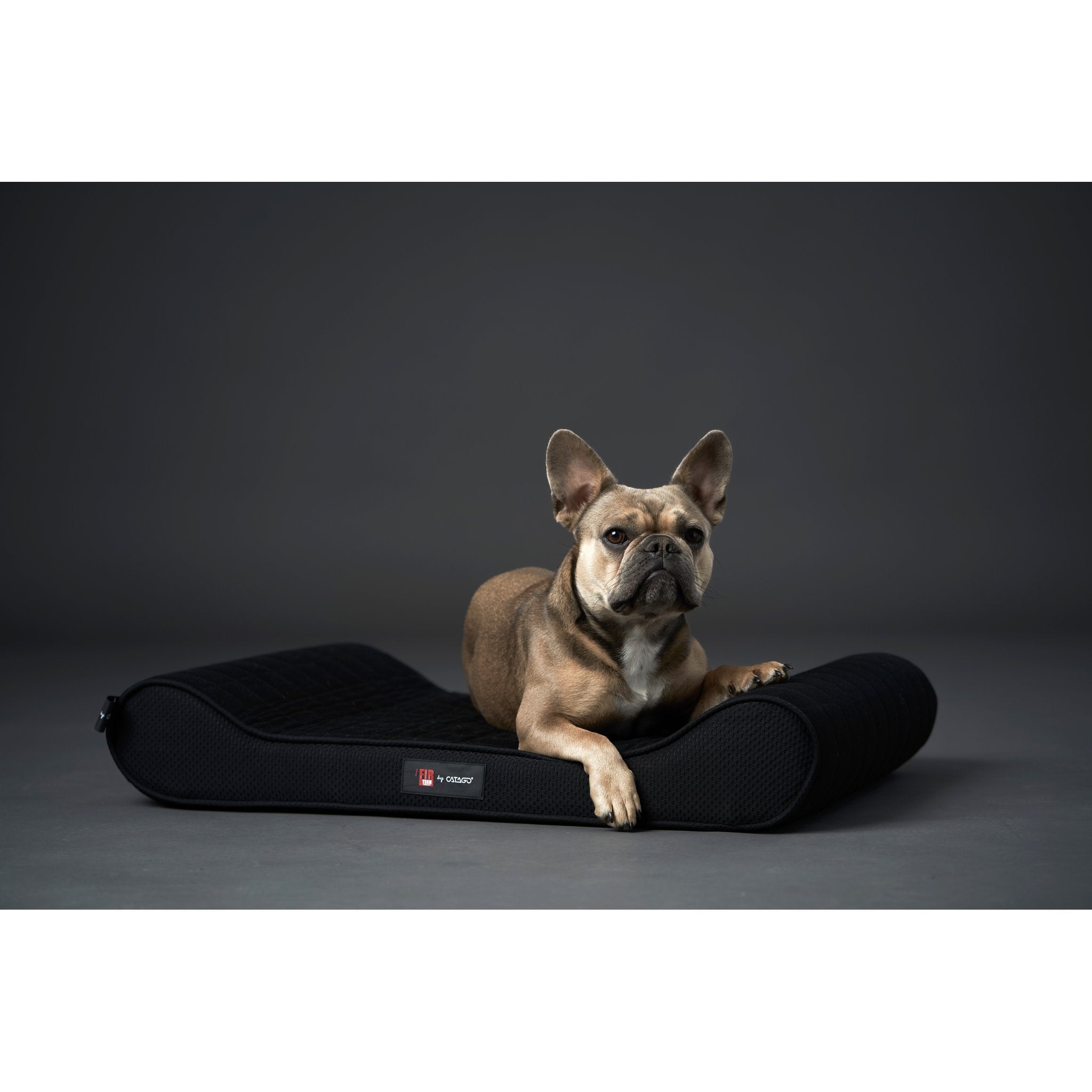 CATAGO FIR-TECH dog pillow
