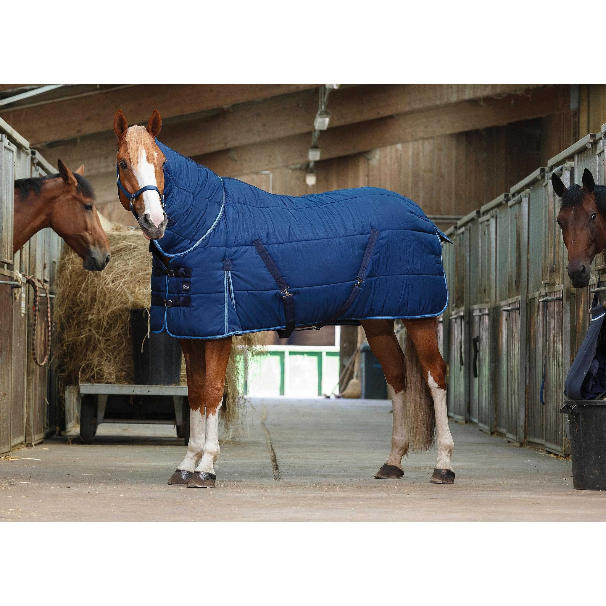 RIDING WORLD Combo Stalltäcke 300 g