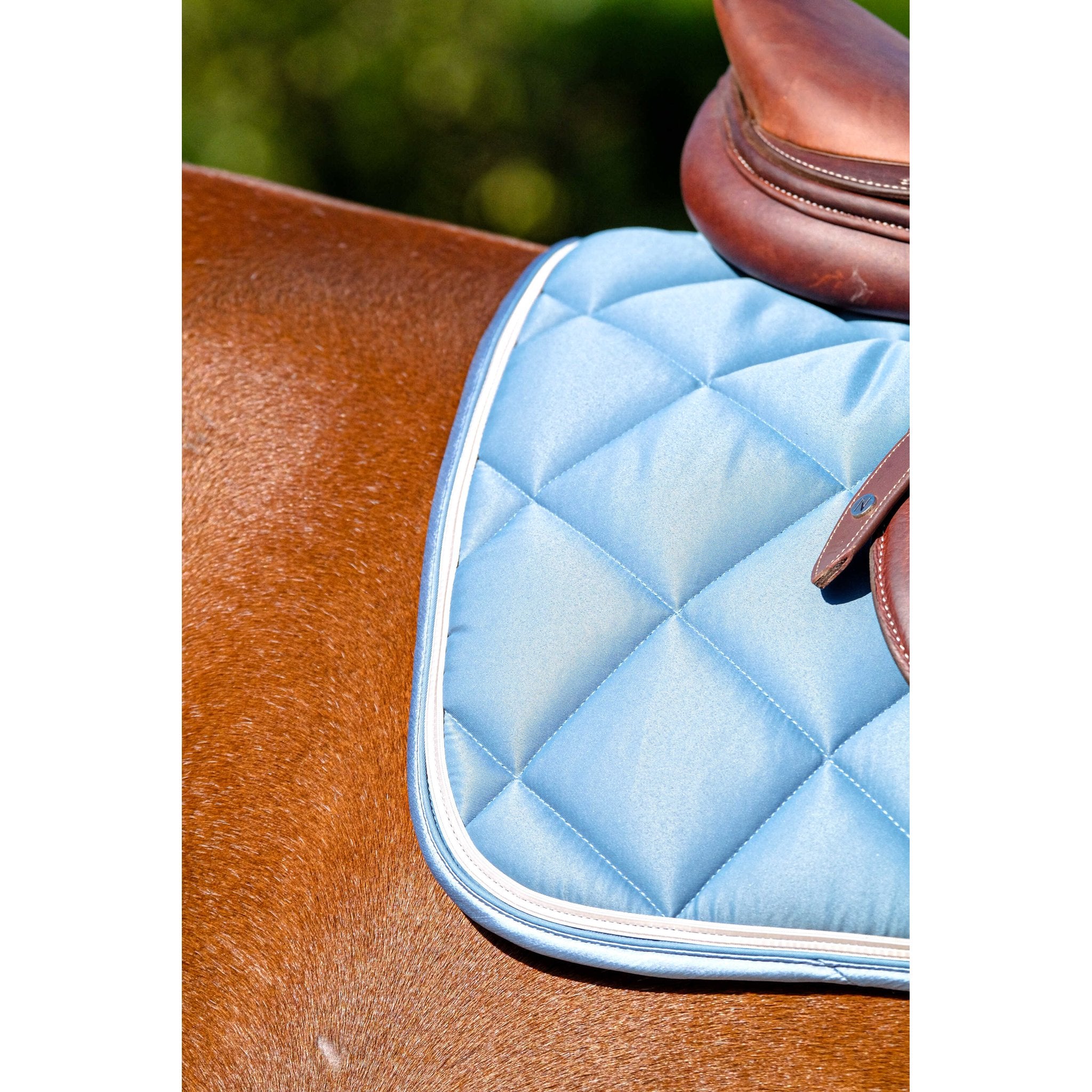 Equithème Classic Schabrak