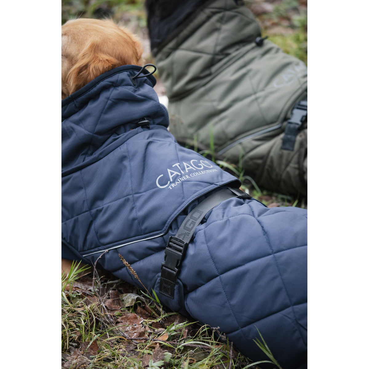 CATAGO Fir-Tech Trainer Dog rug