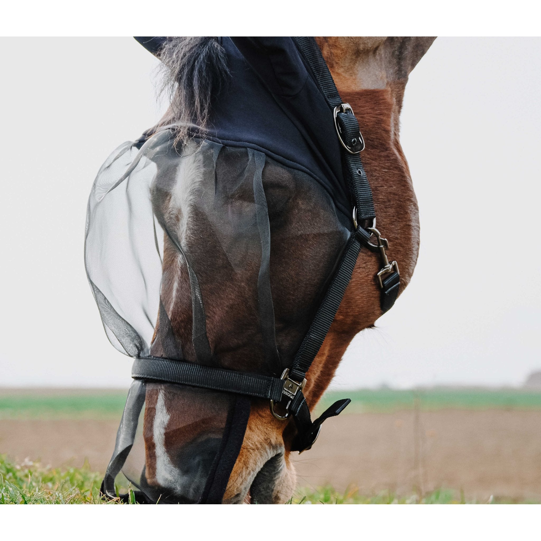 Equithème Grimma + Anti UV-mask