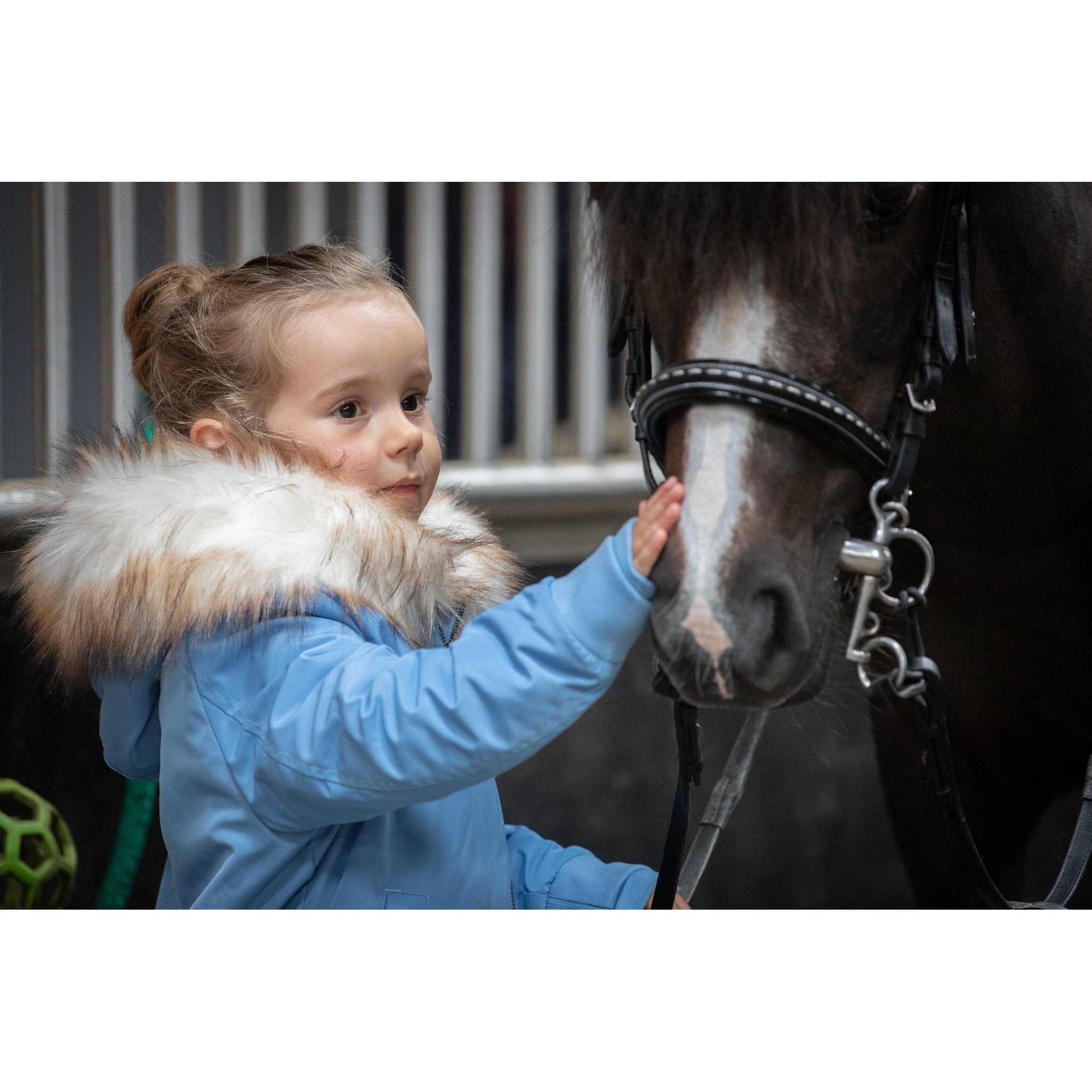 PENELOPE Eden Lyon Jacka Barn