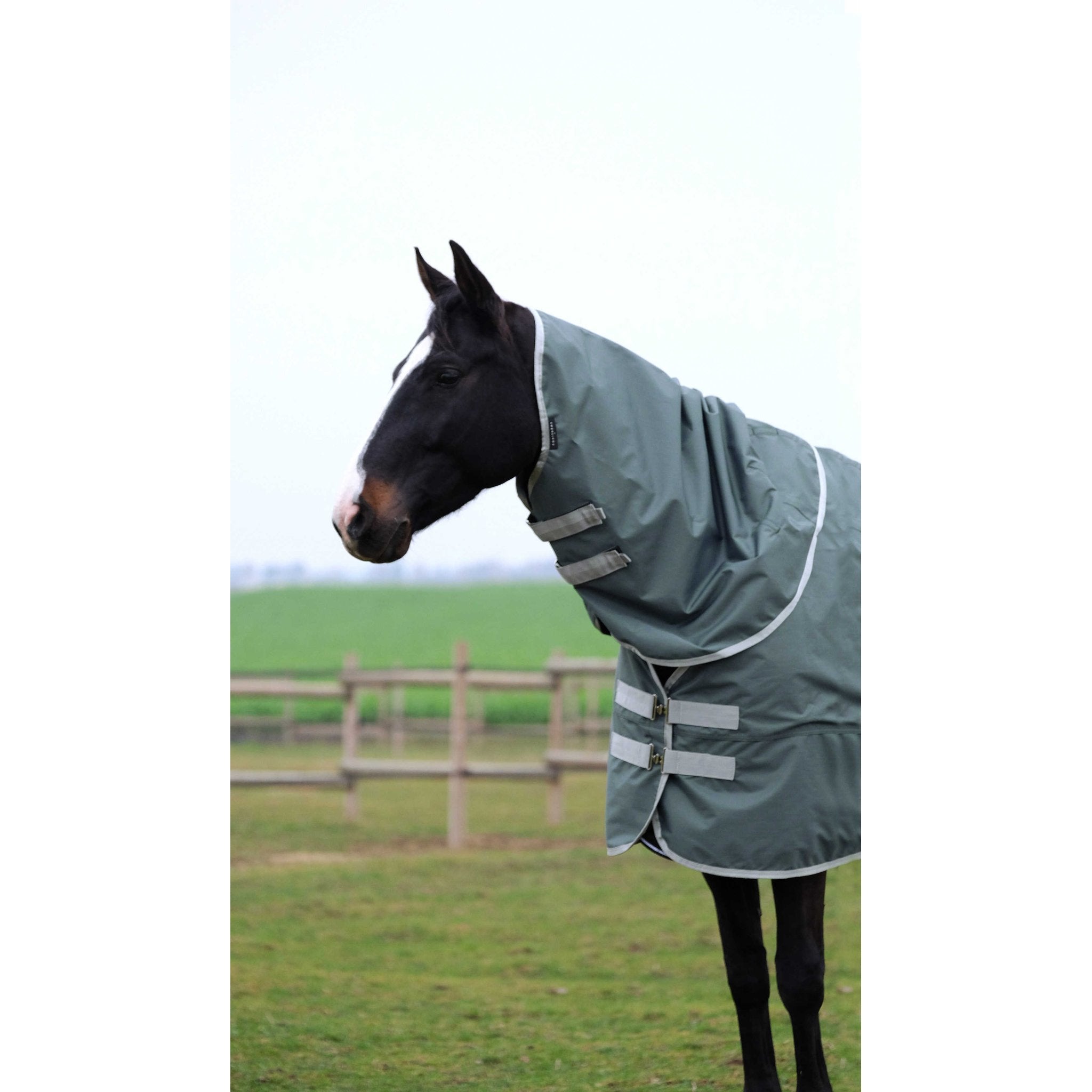 Equithème TYREX 600D återvunnet utetäcke 150 g