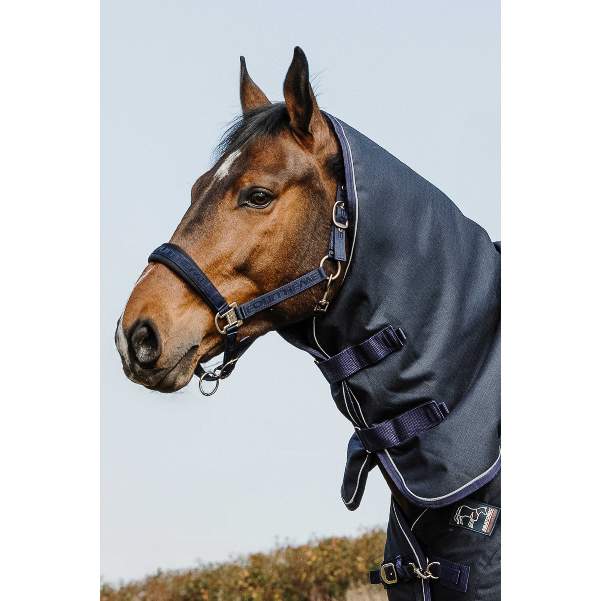 Equitheme Anatomic 1200D Halstäcke 200g