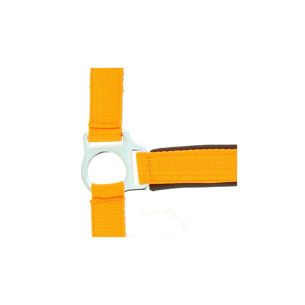 Norton Fluo Lined grimma