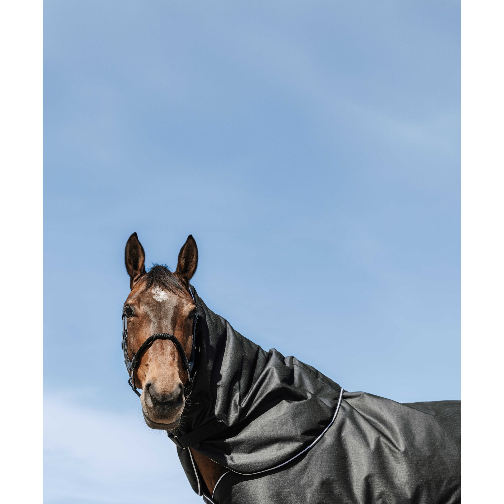 Equithème TYREX 600D Halstäcke 0 g