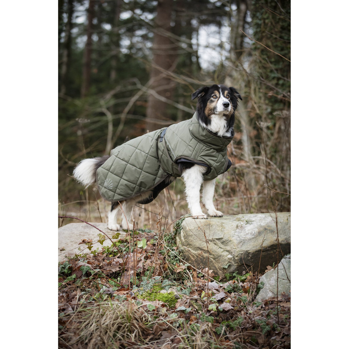 CATAGO Fir-Tech Trainer Dog rug