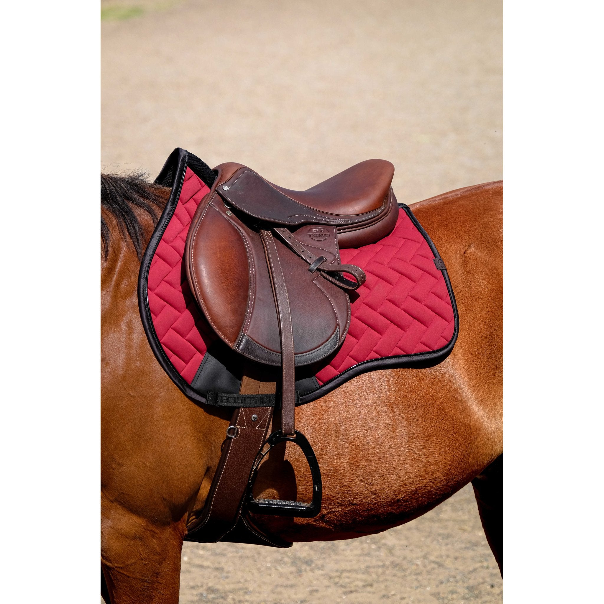 Equithème Impulsion Schabrak