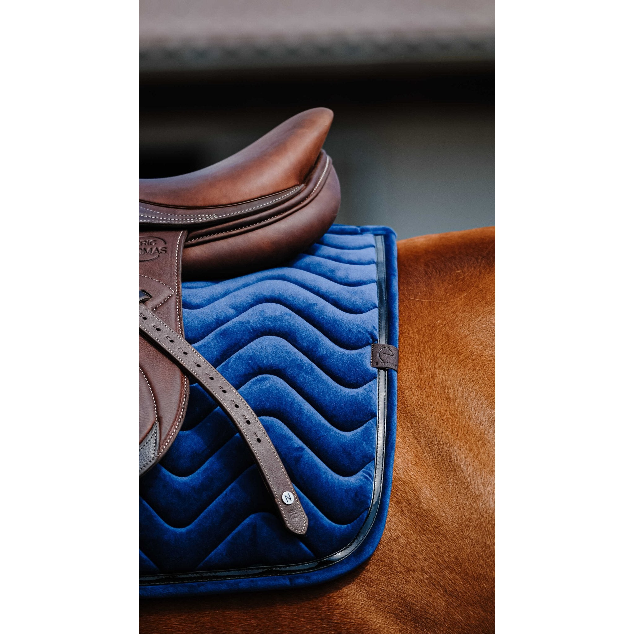 Equithème Glossy Schabrak