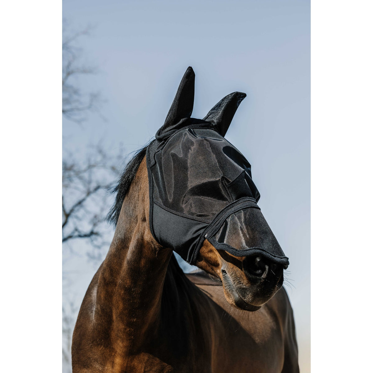 Pro Series Extra flugmask