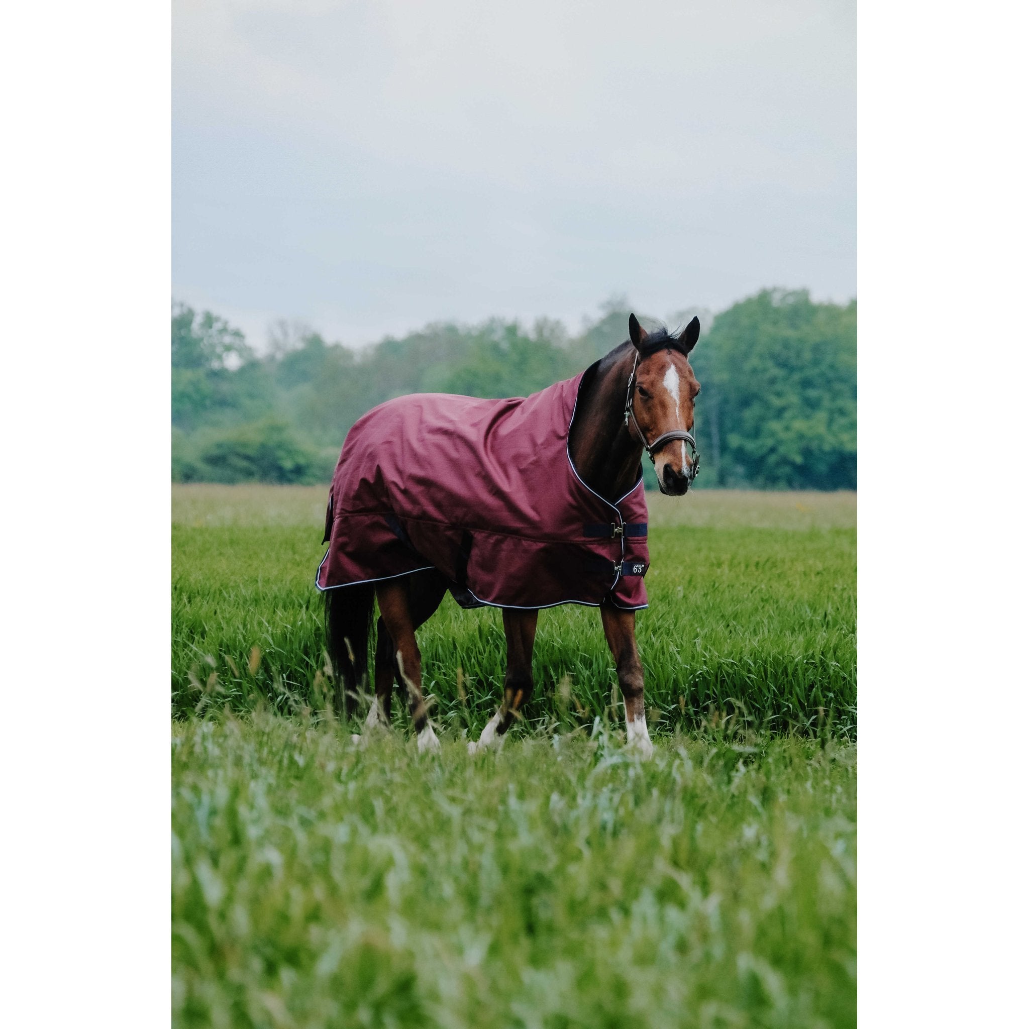Equithème TYREX 1200D täcke hög hals 300 g
